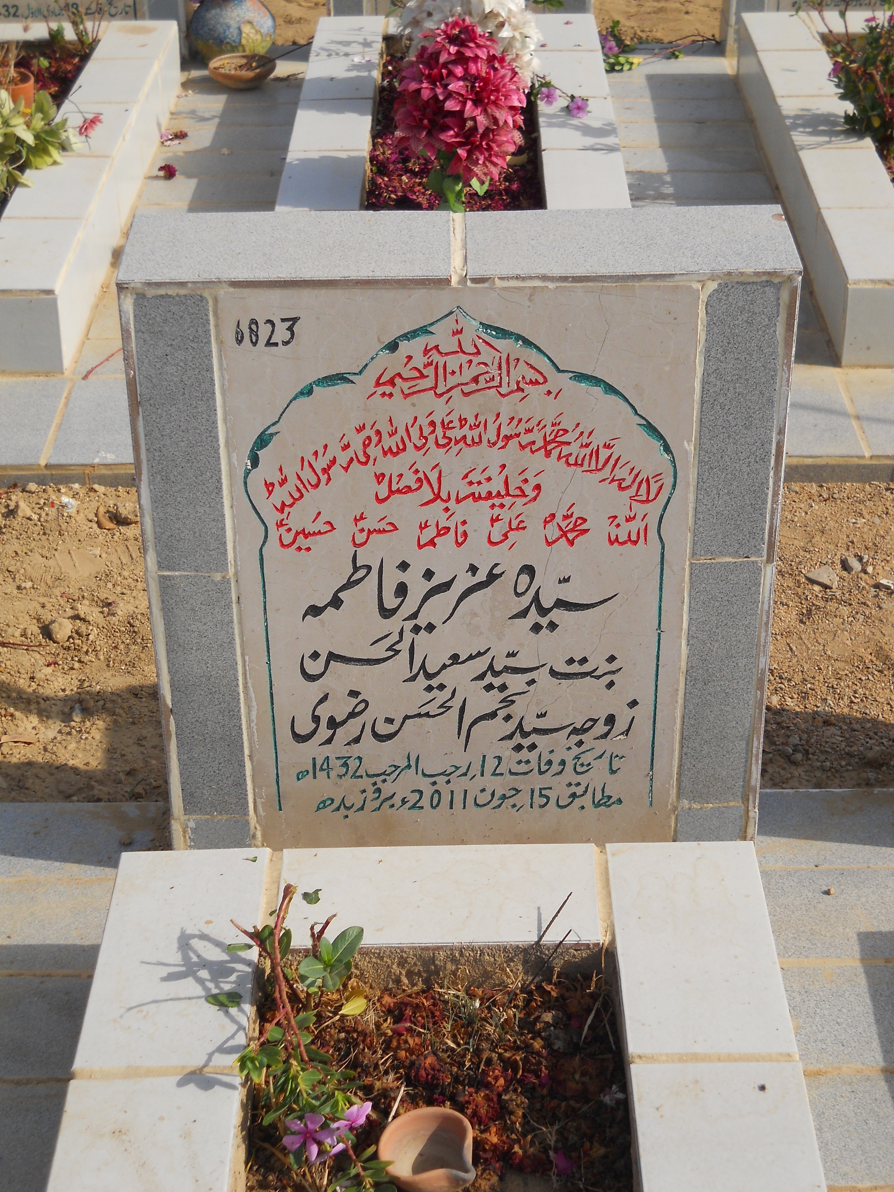6823 – Syeda Aziz Fatima