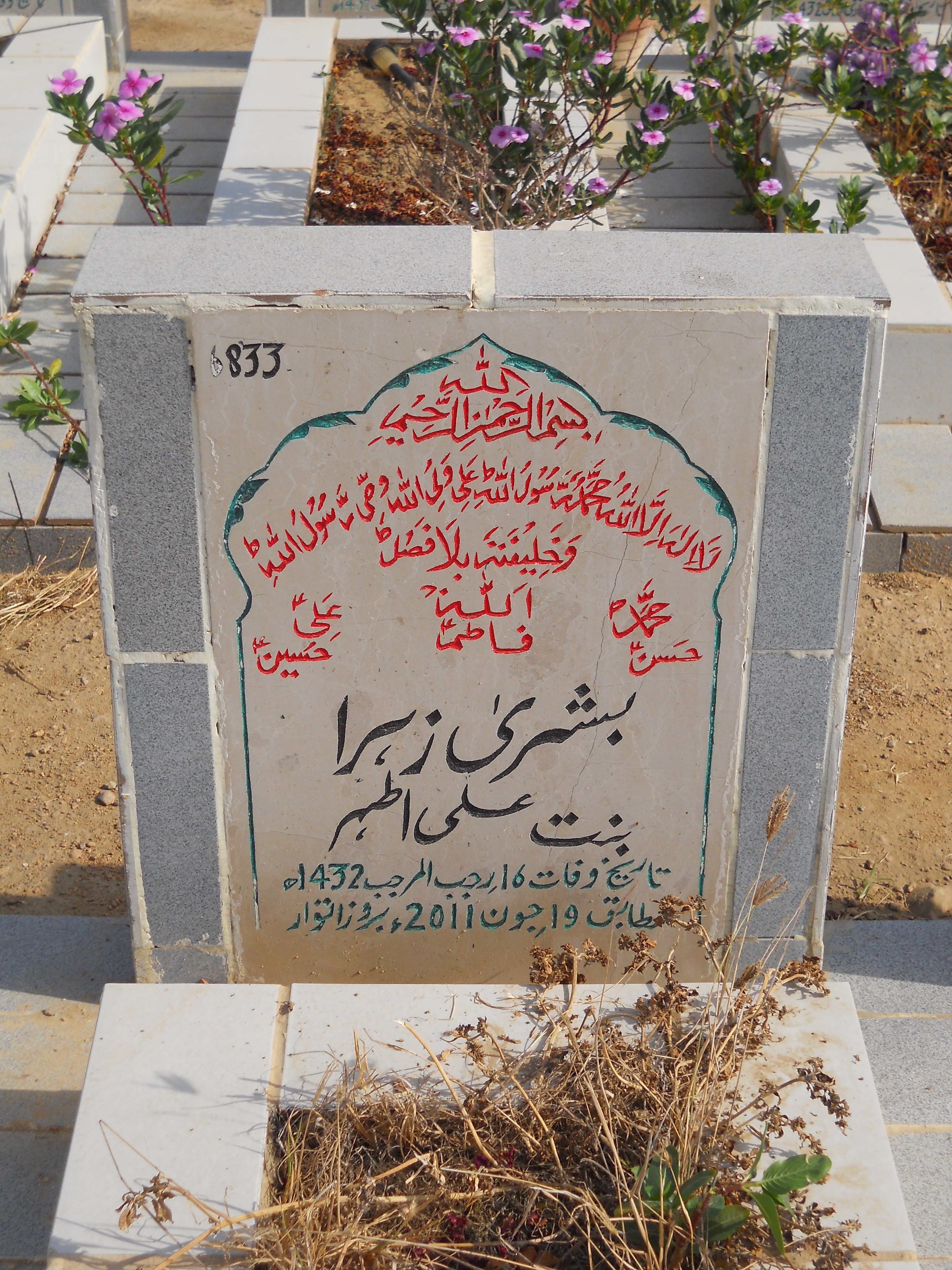 6833 – Bushra Zehra