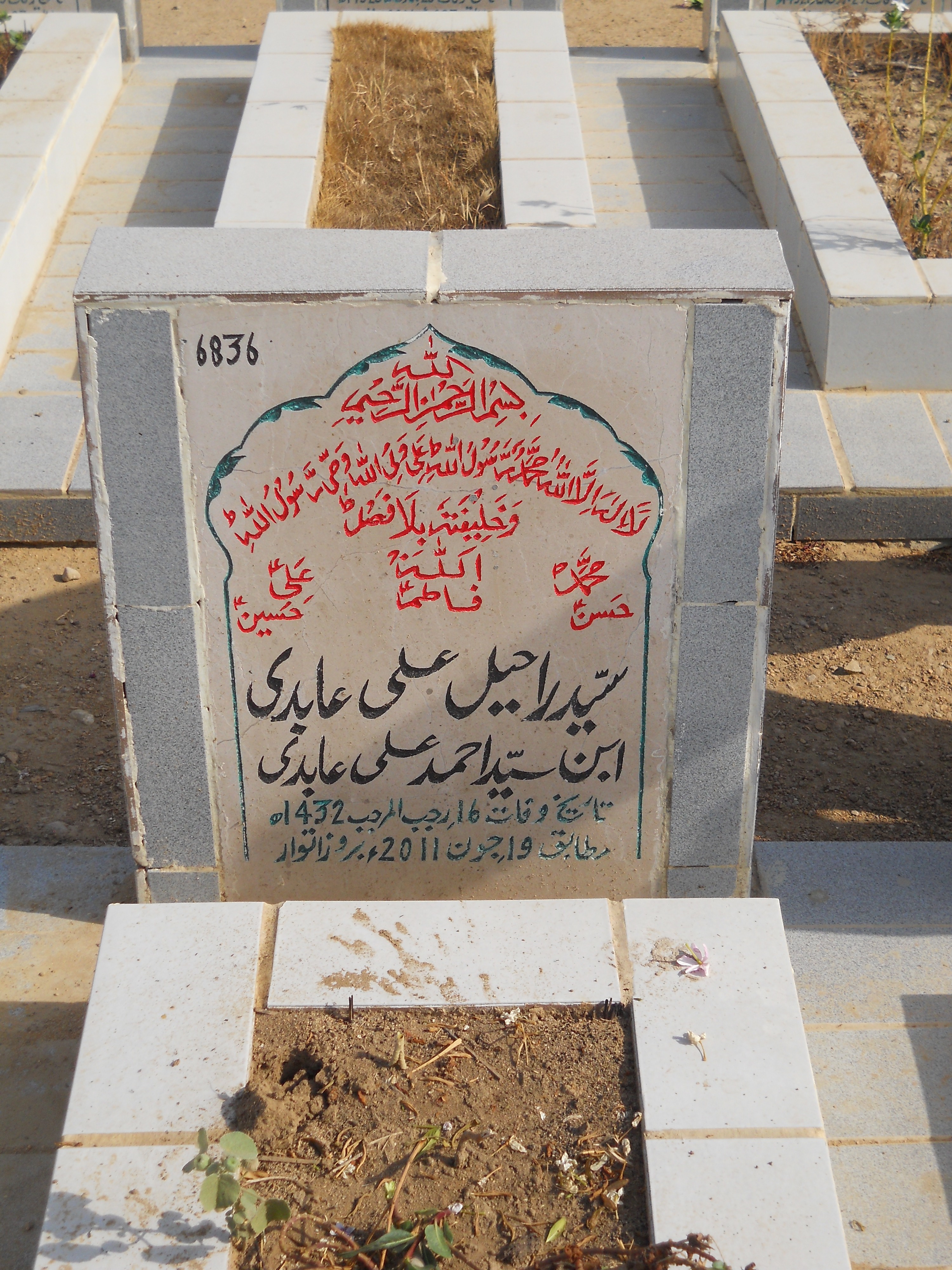 6836 – Syed Raheel Ali Abidi