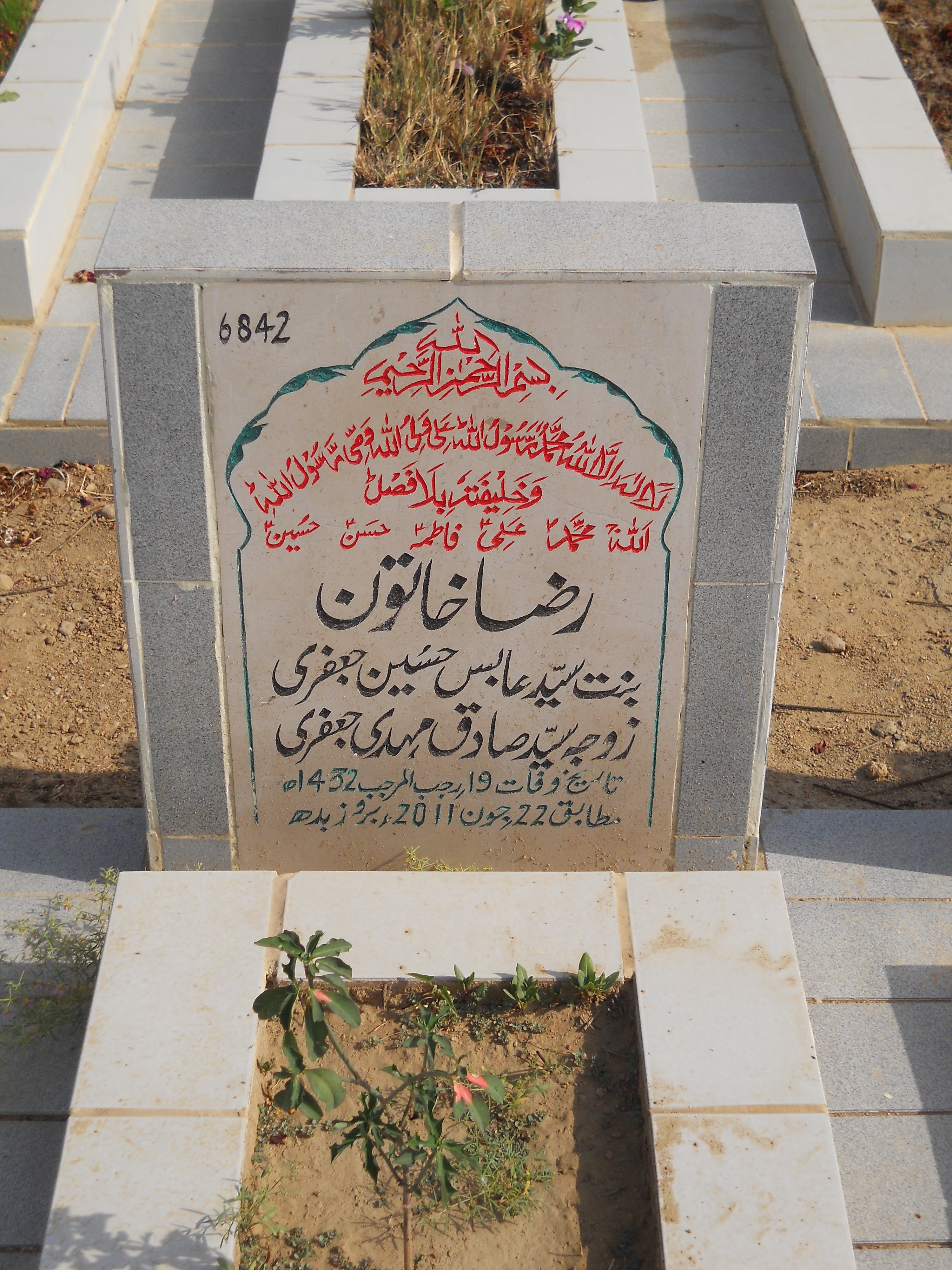 6842 – Raza Khatoon