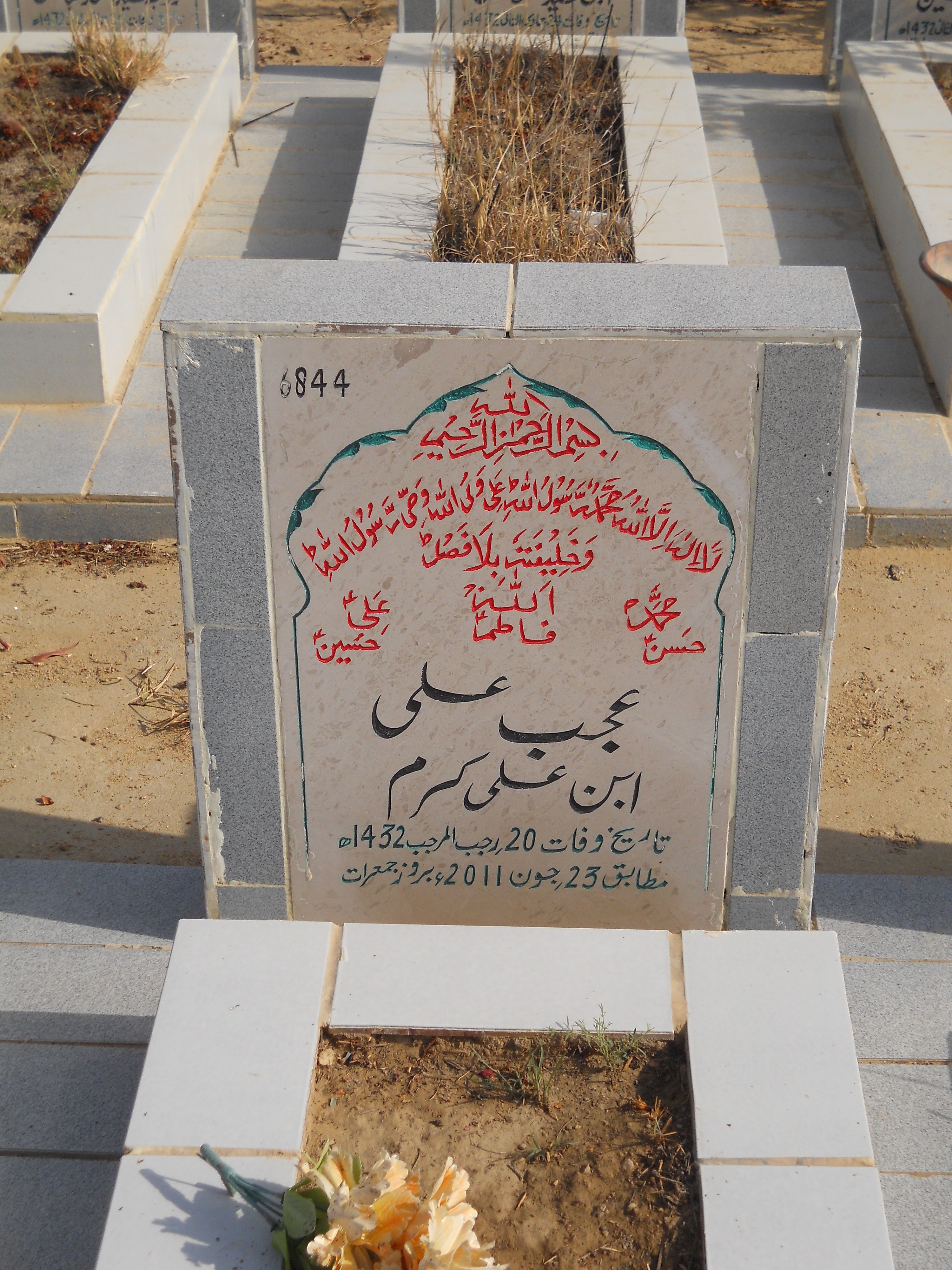 6844 – Ajab Ali