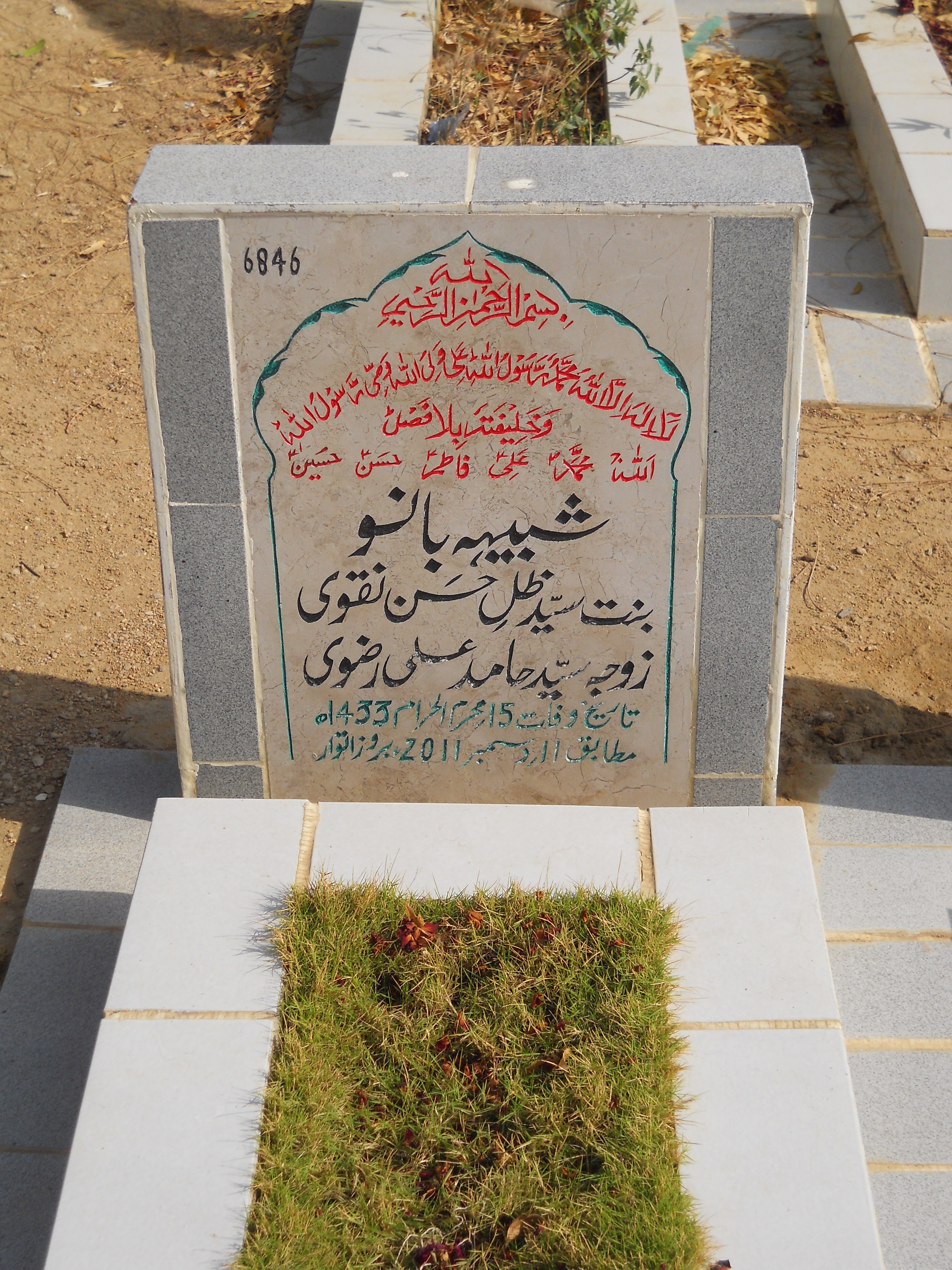 6846 – Shabhi Bano
