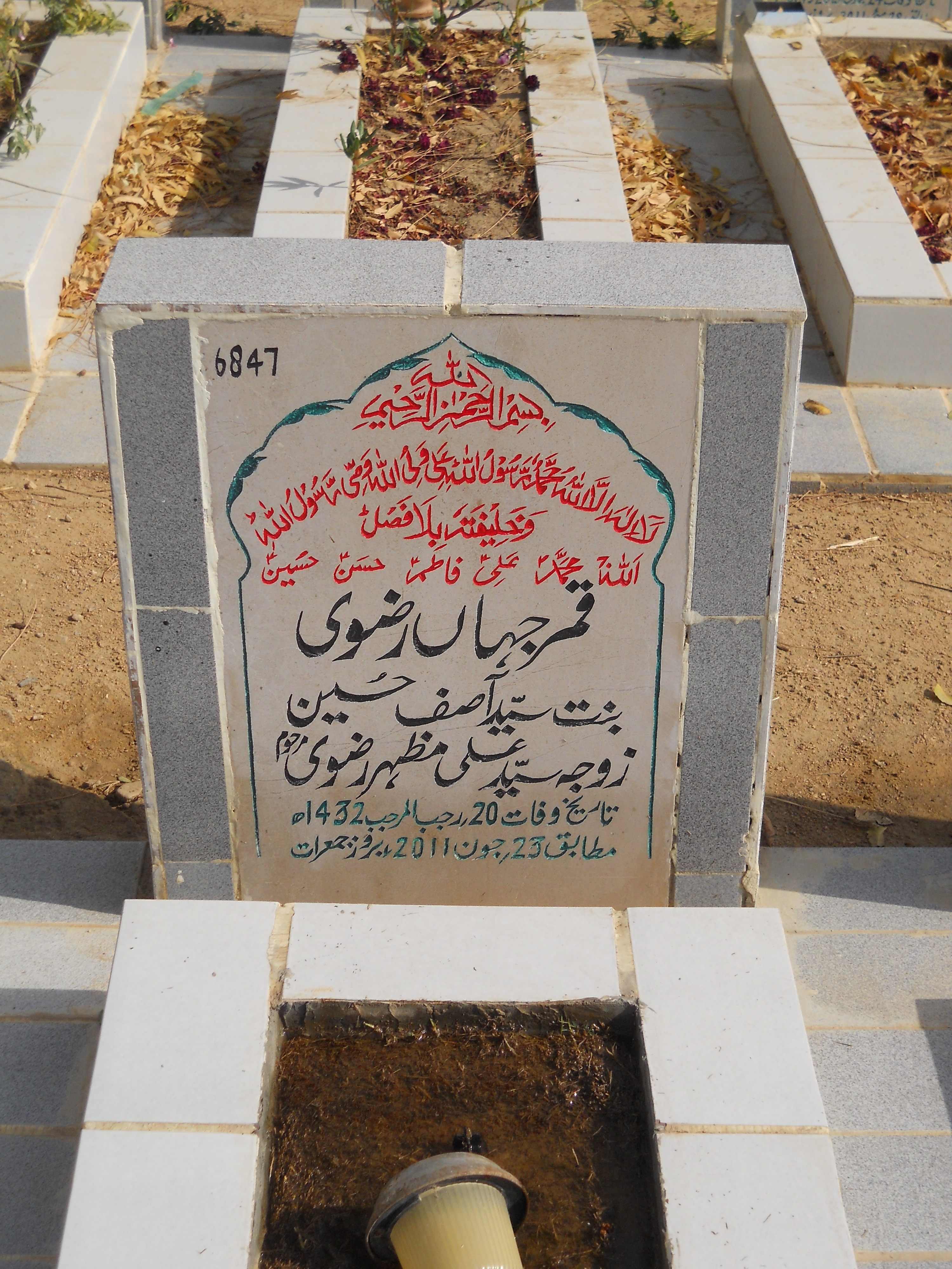 6847 – Qamar Jahan Rizvi