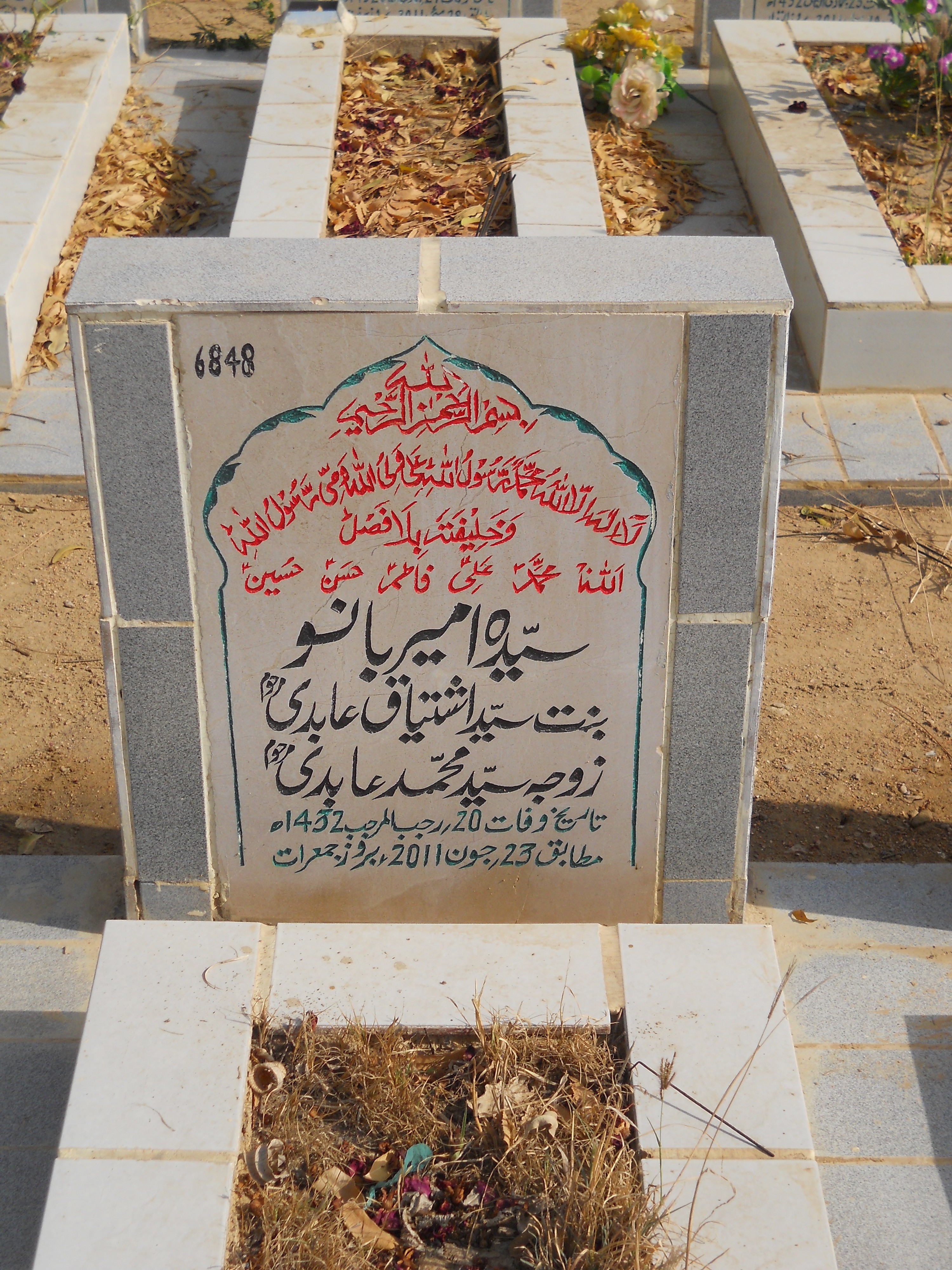 6848 – Syeda Ameer Bano