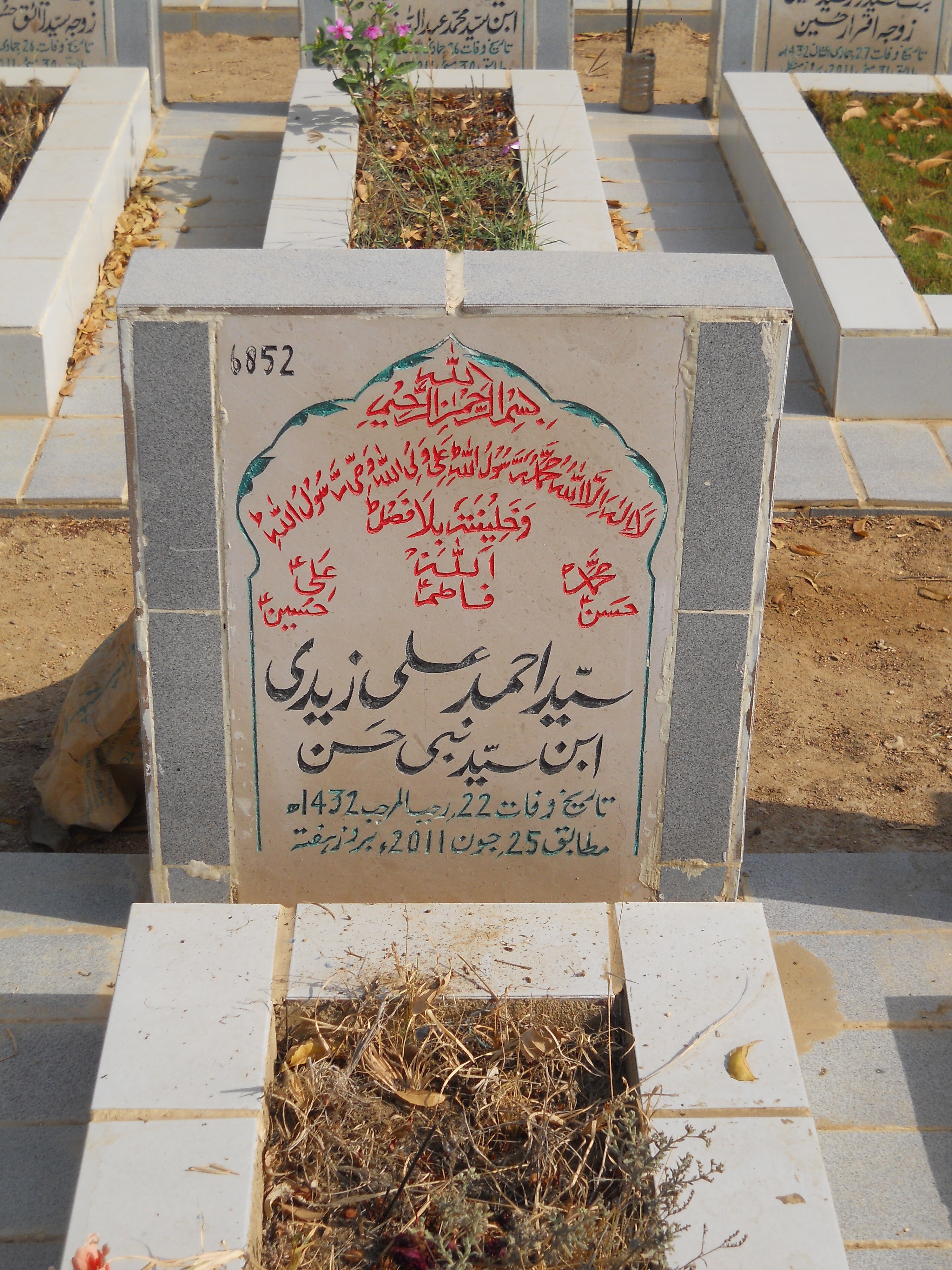 6852 – Syed Ahmed Ali Zaidi