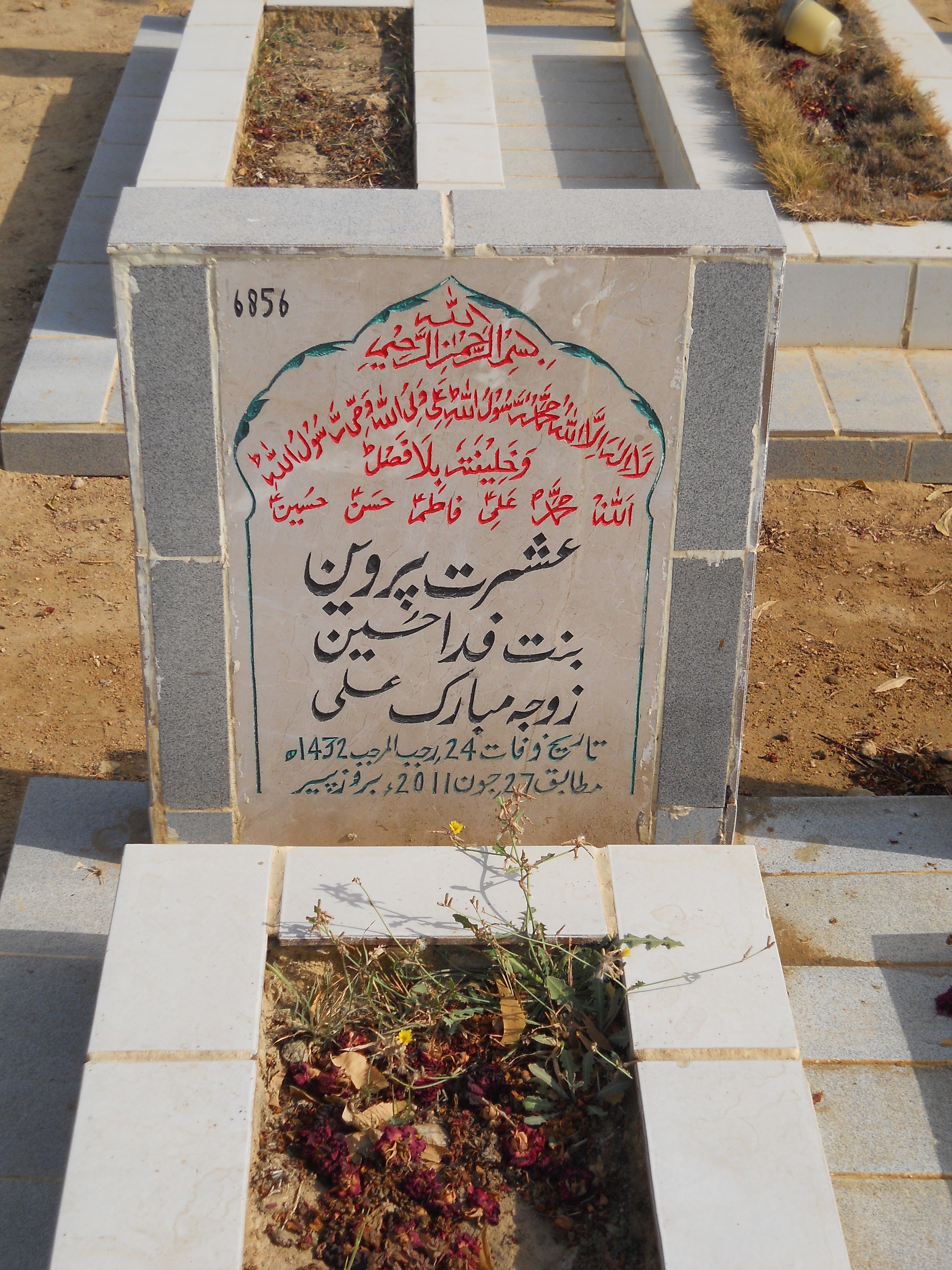 6856 – Ishrat Parveen