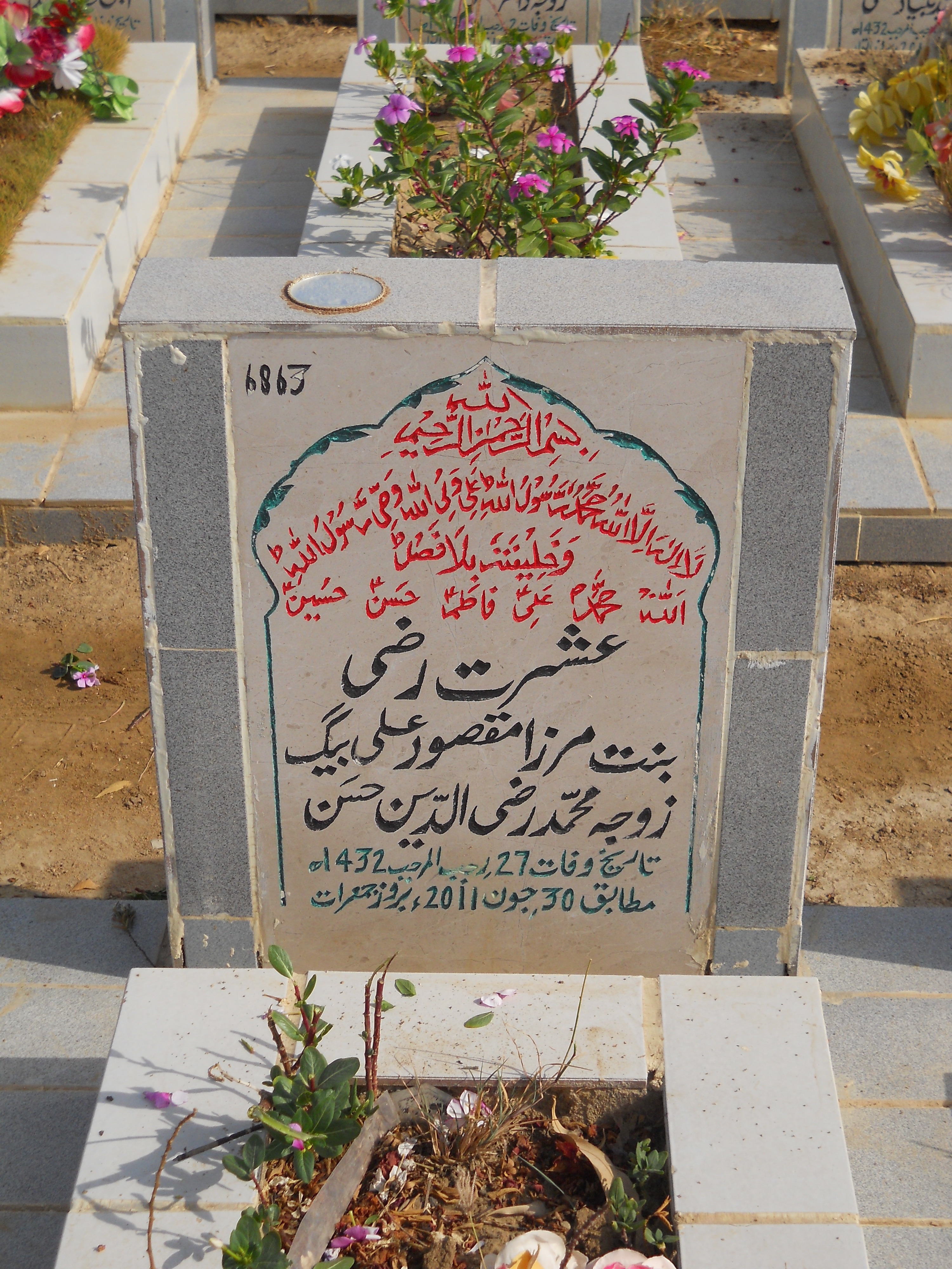 6863 – Ishrat Razi
