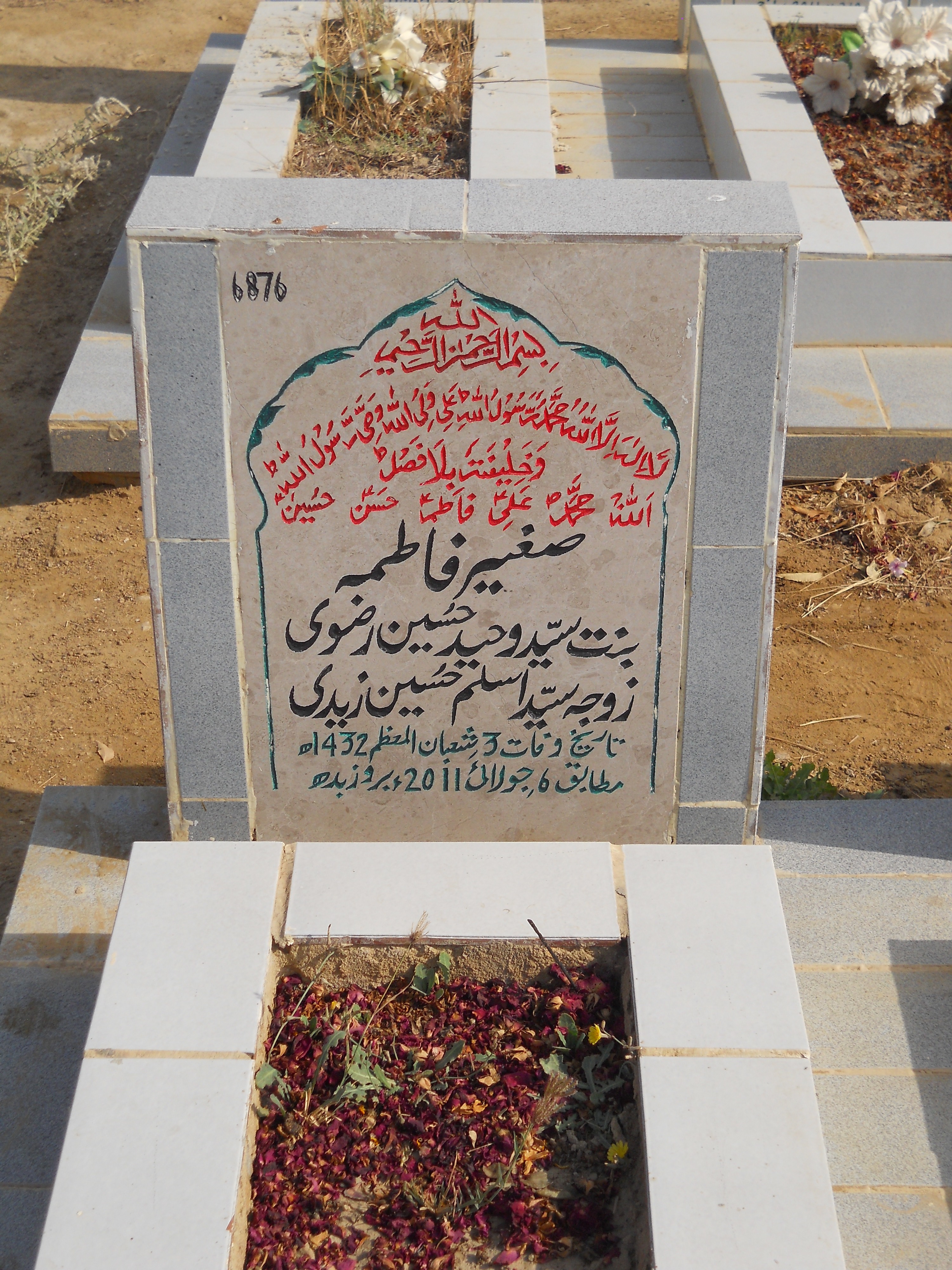 6876 – Sagheer Fatima