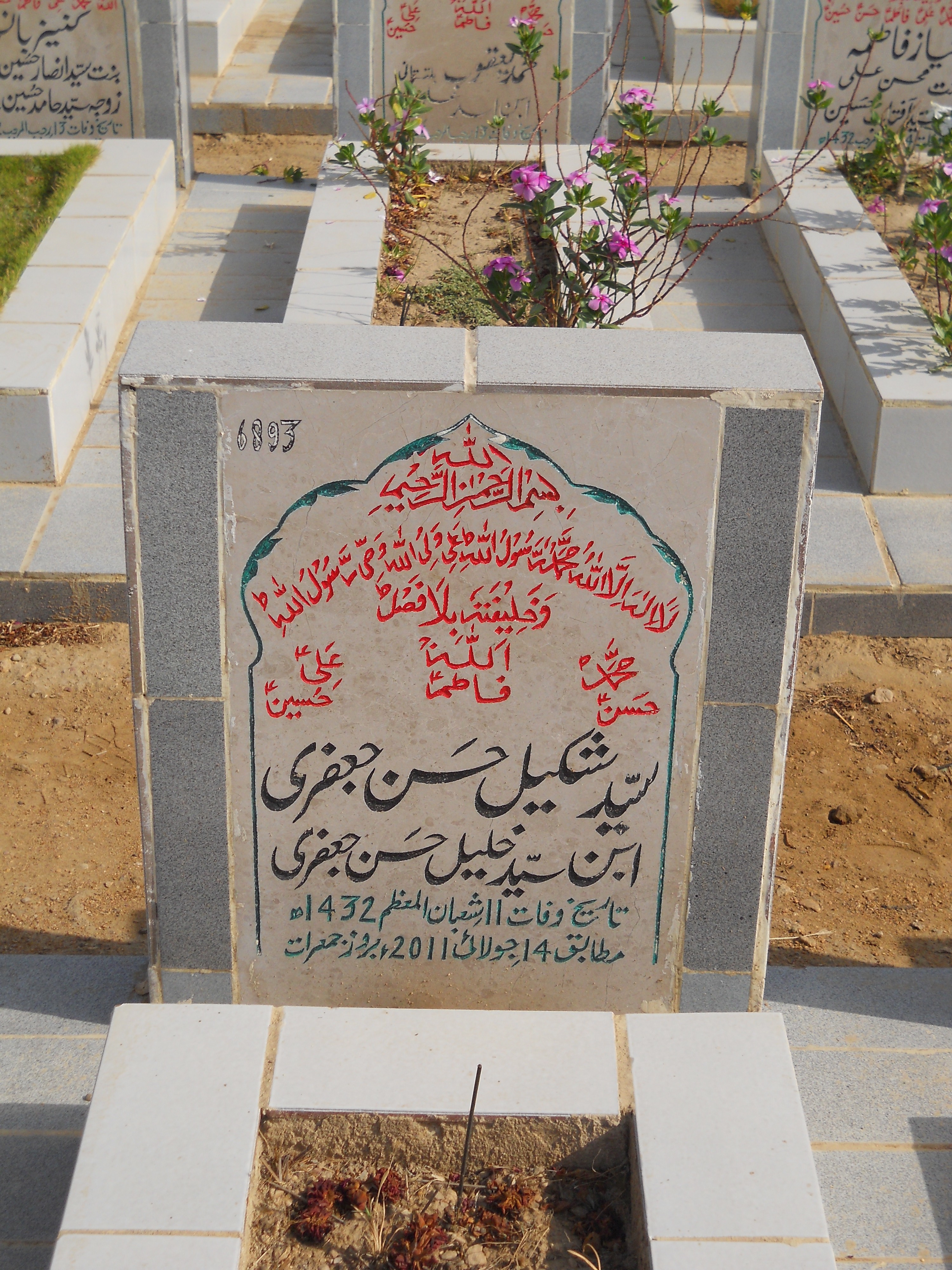 6893 – Syed Shakeel Hasan Jaffery