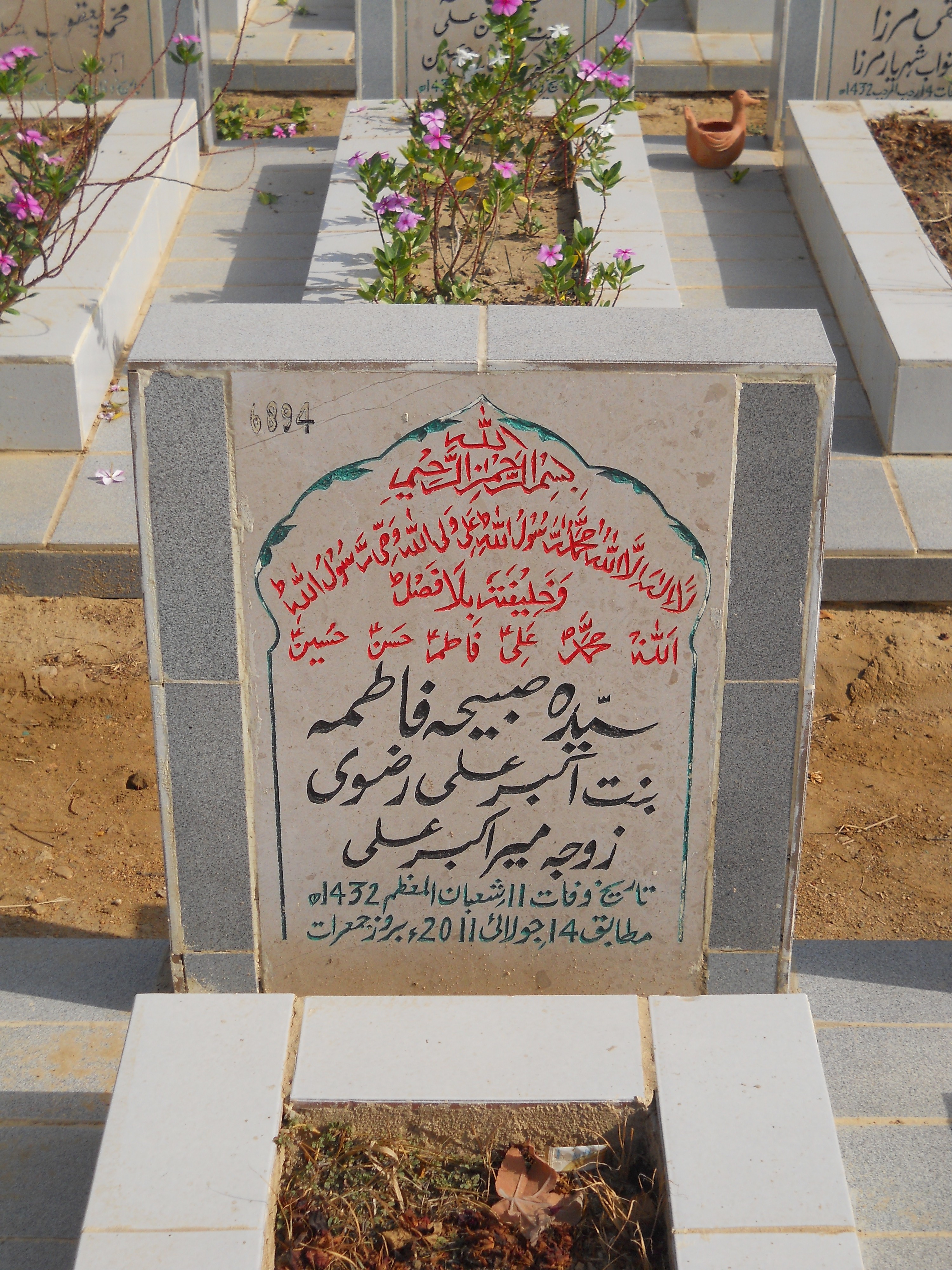 6894 – Syeda Sabeha Fatima