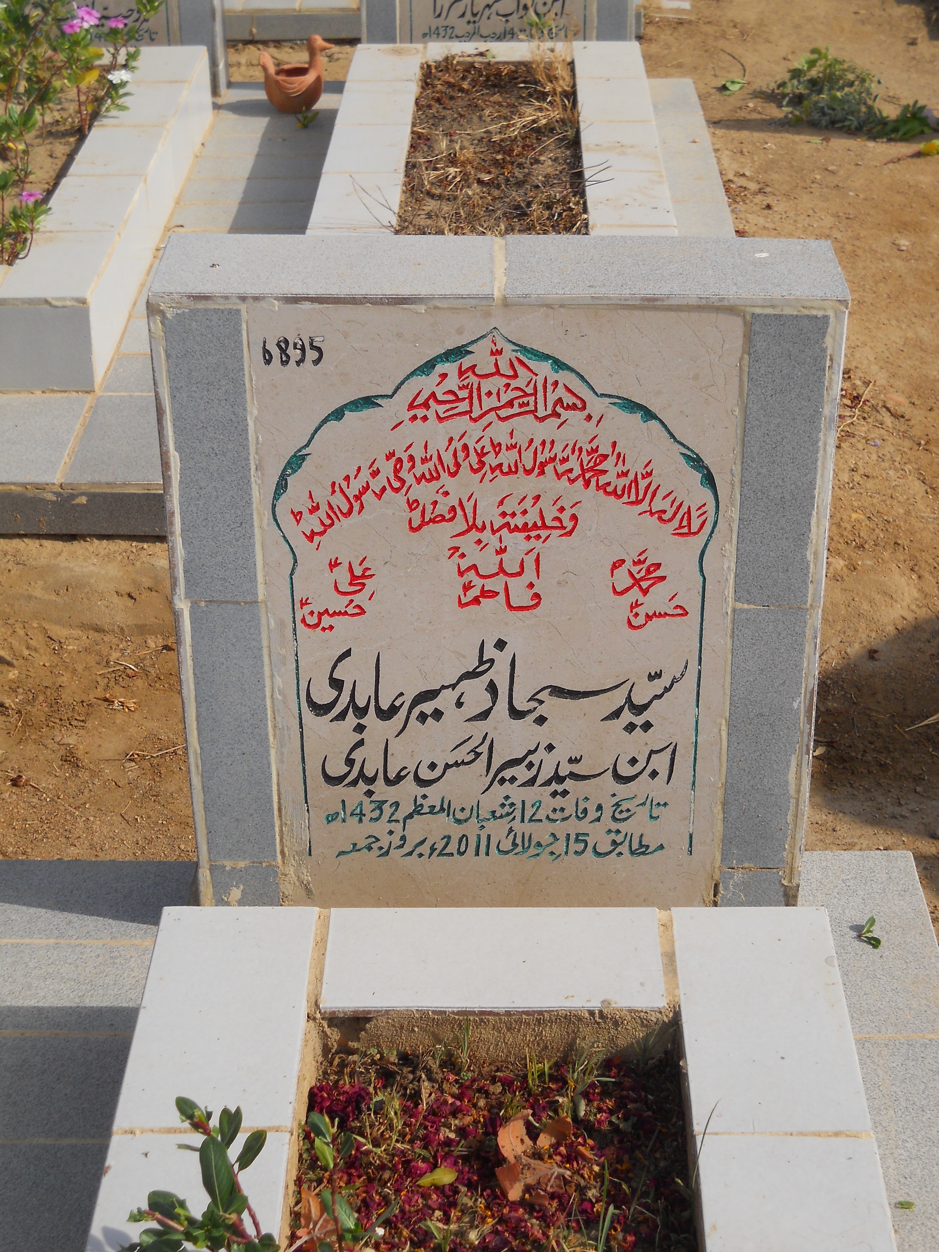 6895 – Syed Sajjad Zaheer Abidi