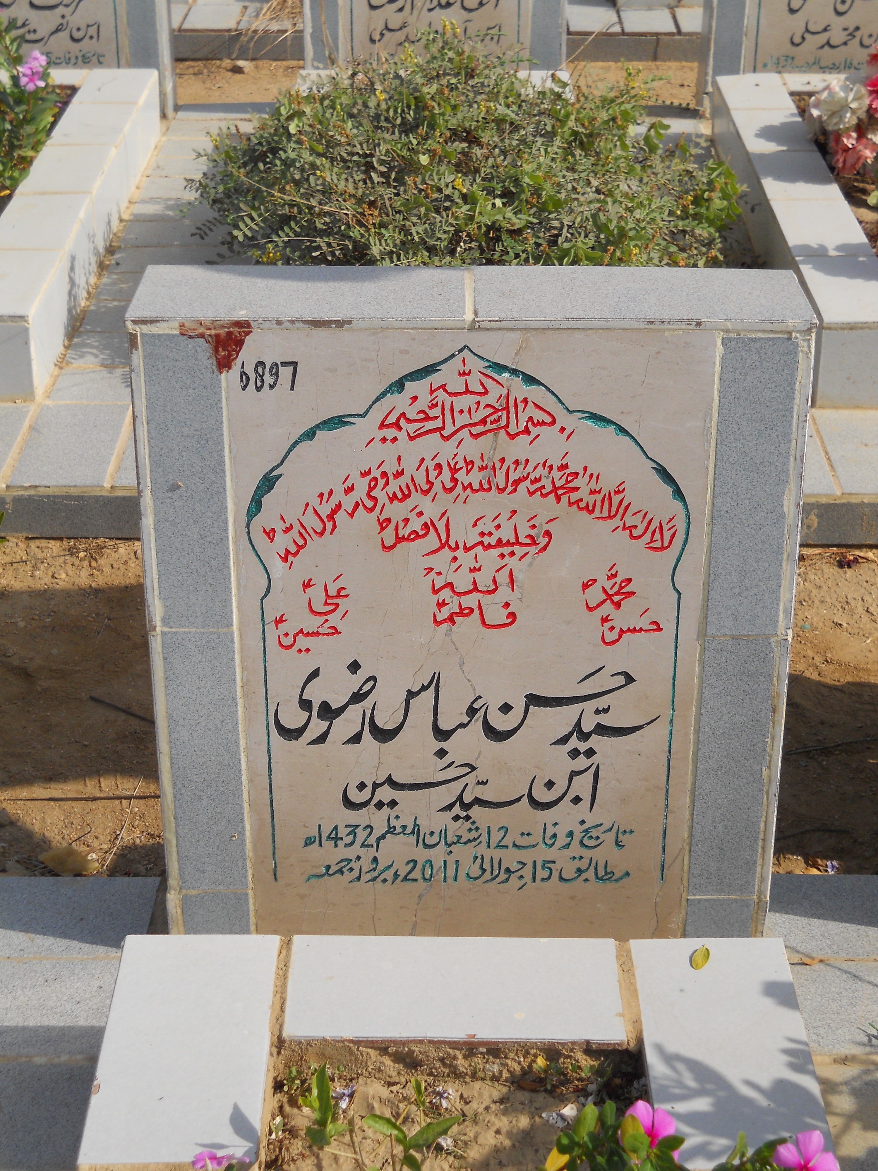 6897 – Syed Hasan Abbas Rizvi