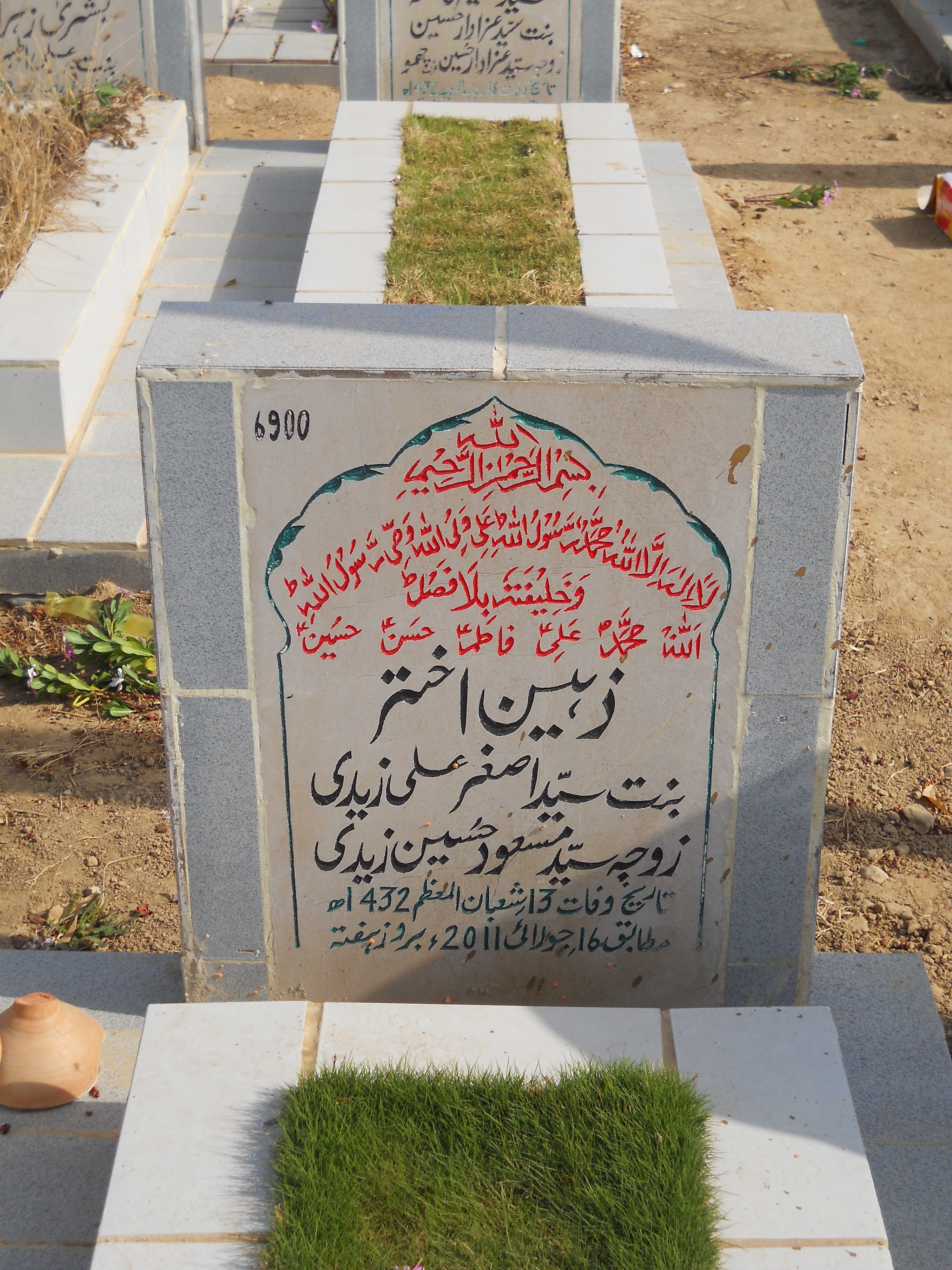 6900 – Zaheen Akhtar