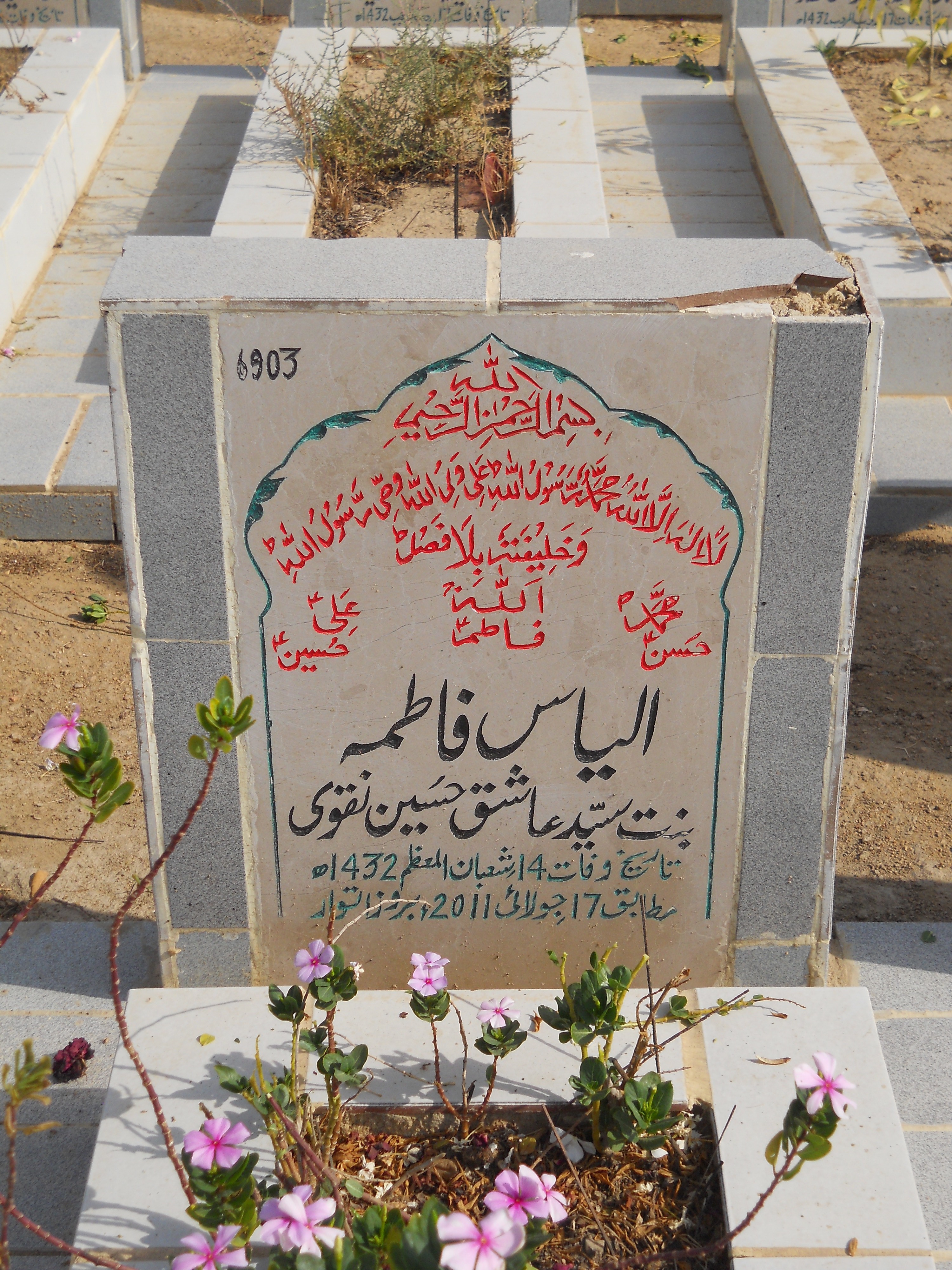 6903 – Ilyas Fatima