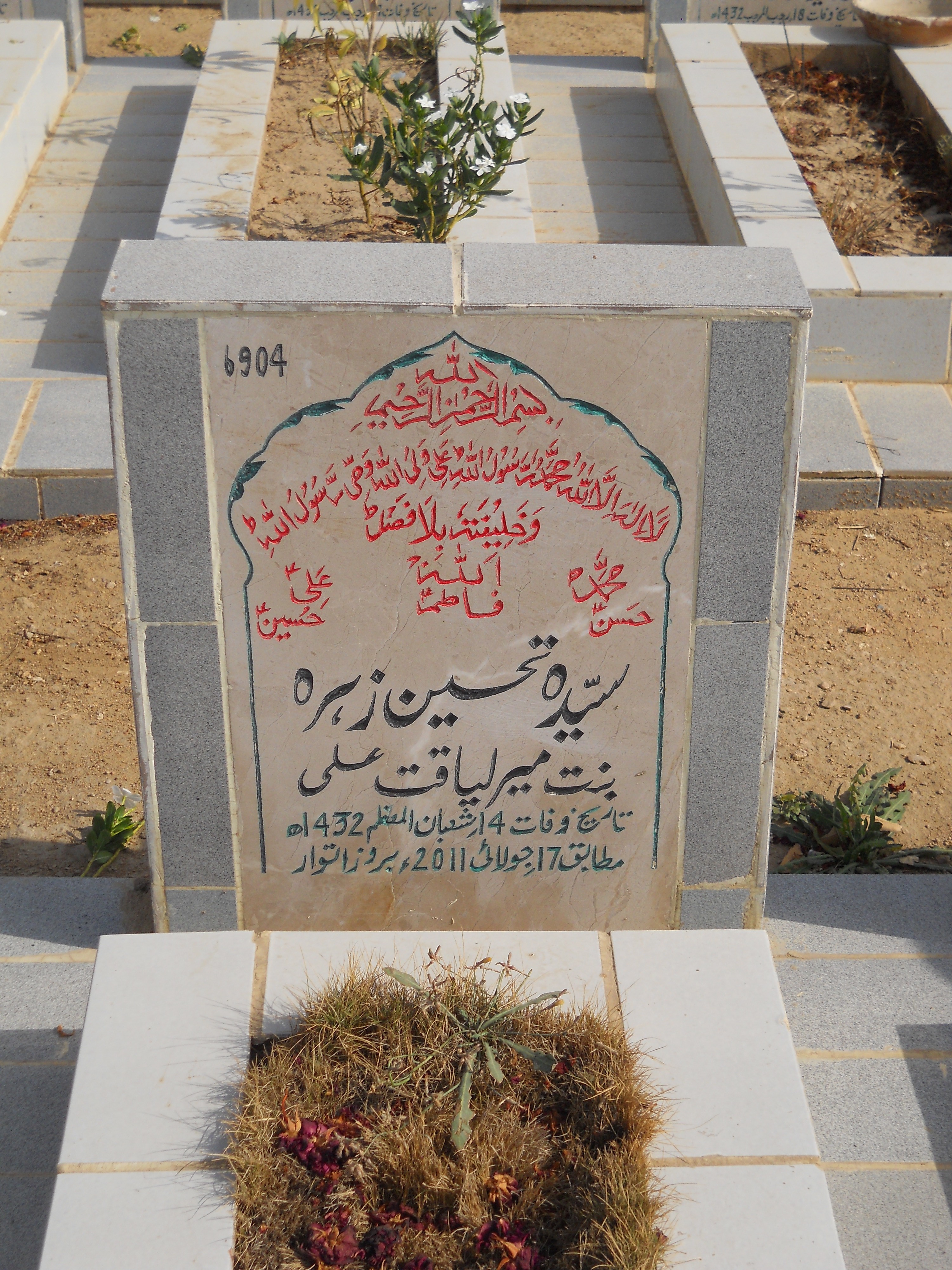 6904 – Syeda Tehseen Zehra