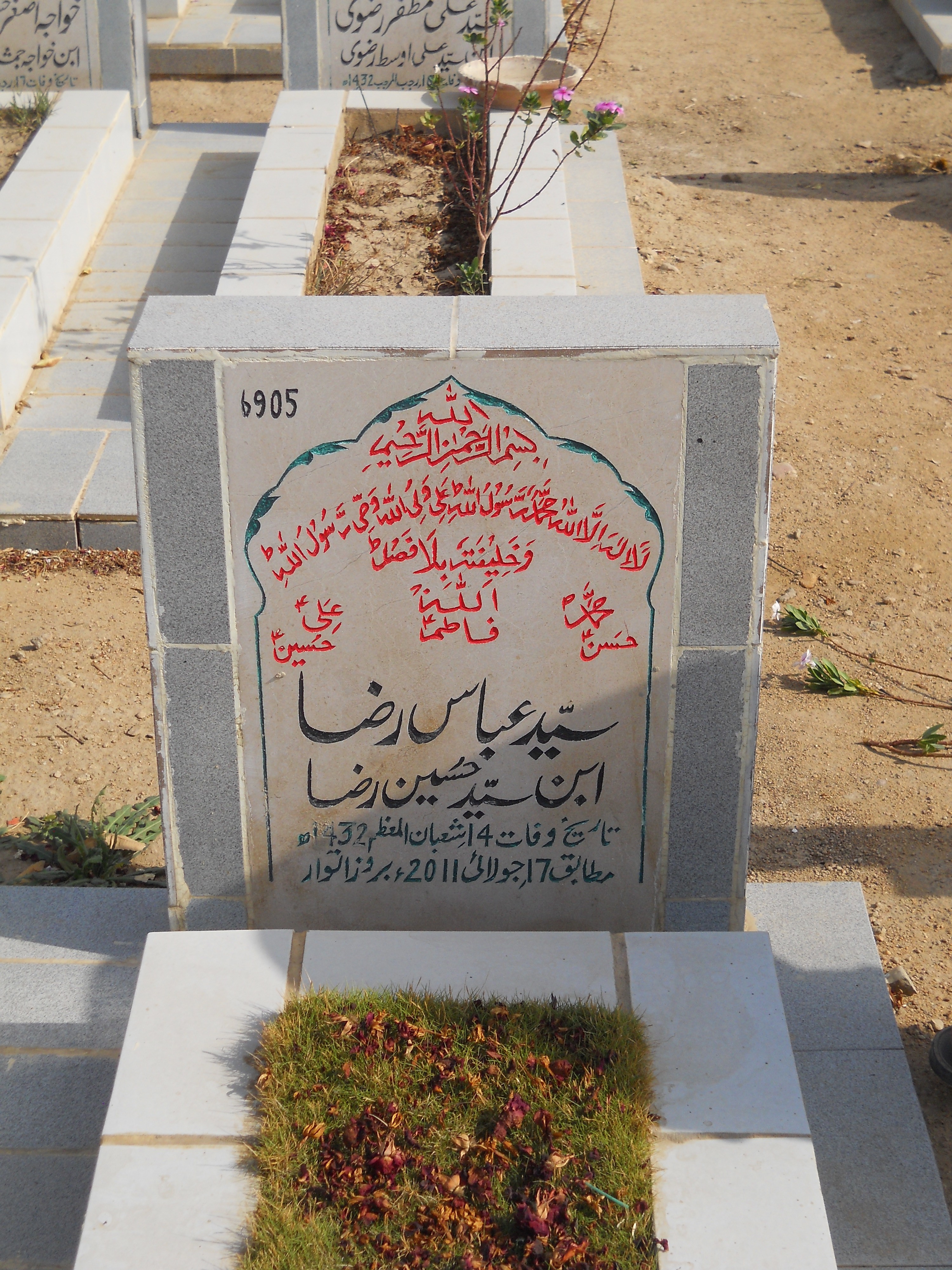 6905 – Syed Abbas Raza