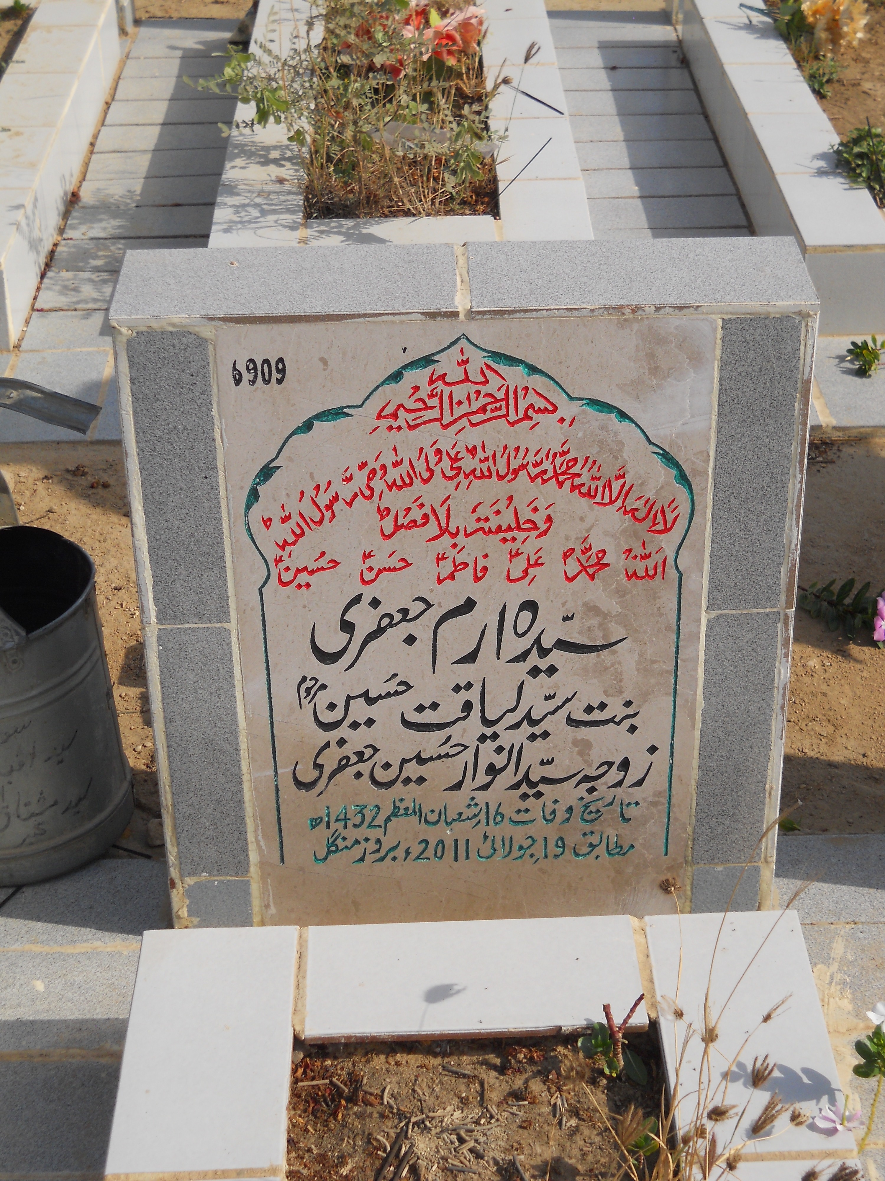 6909 – Syeda Erum Jaffery