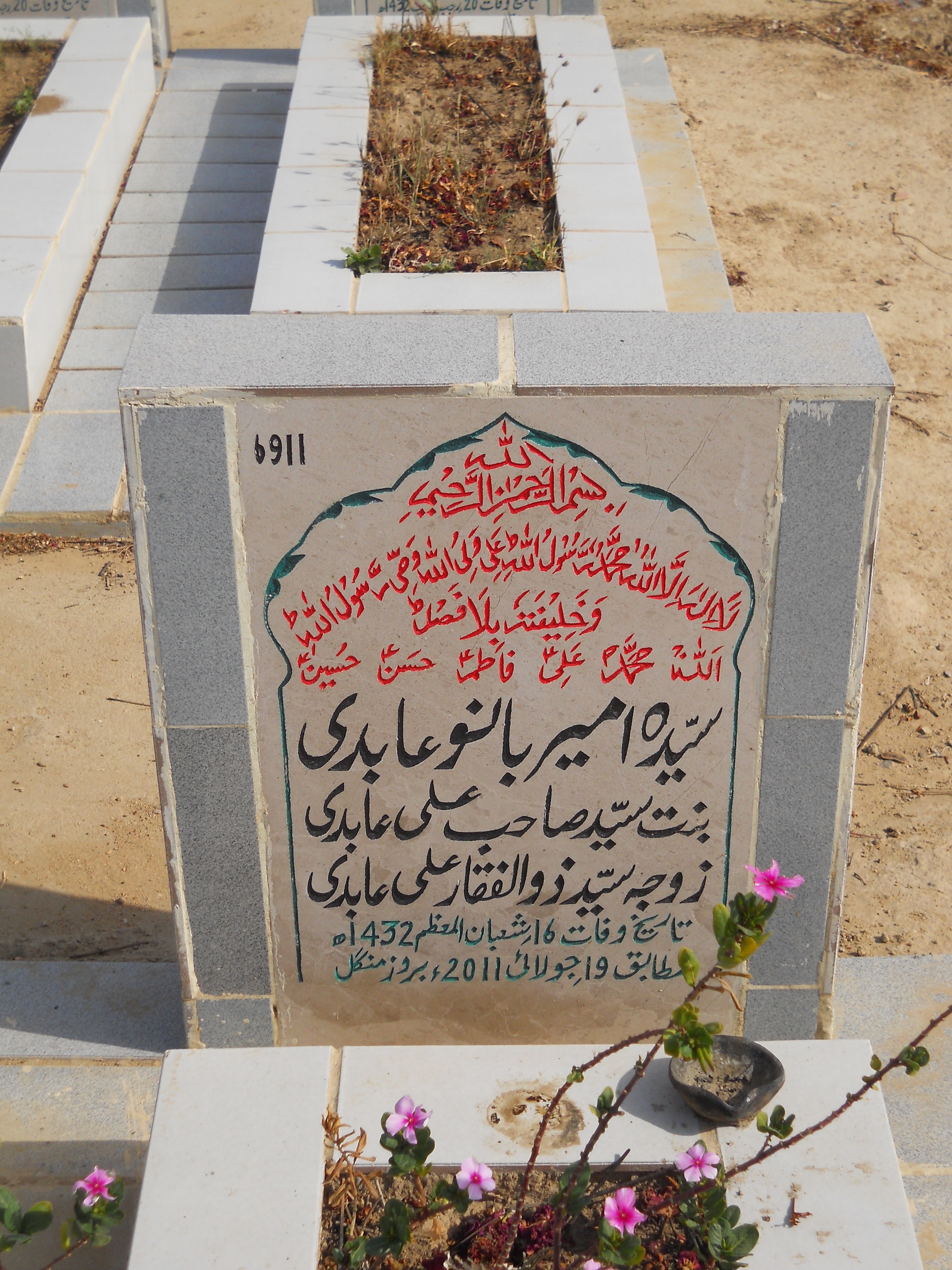 6911 – Syeda Ameer Bano Abidi