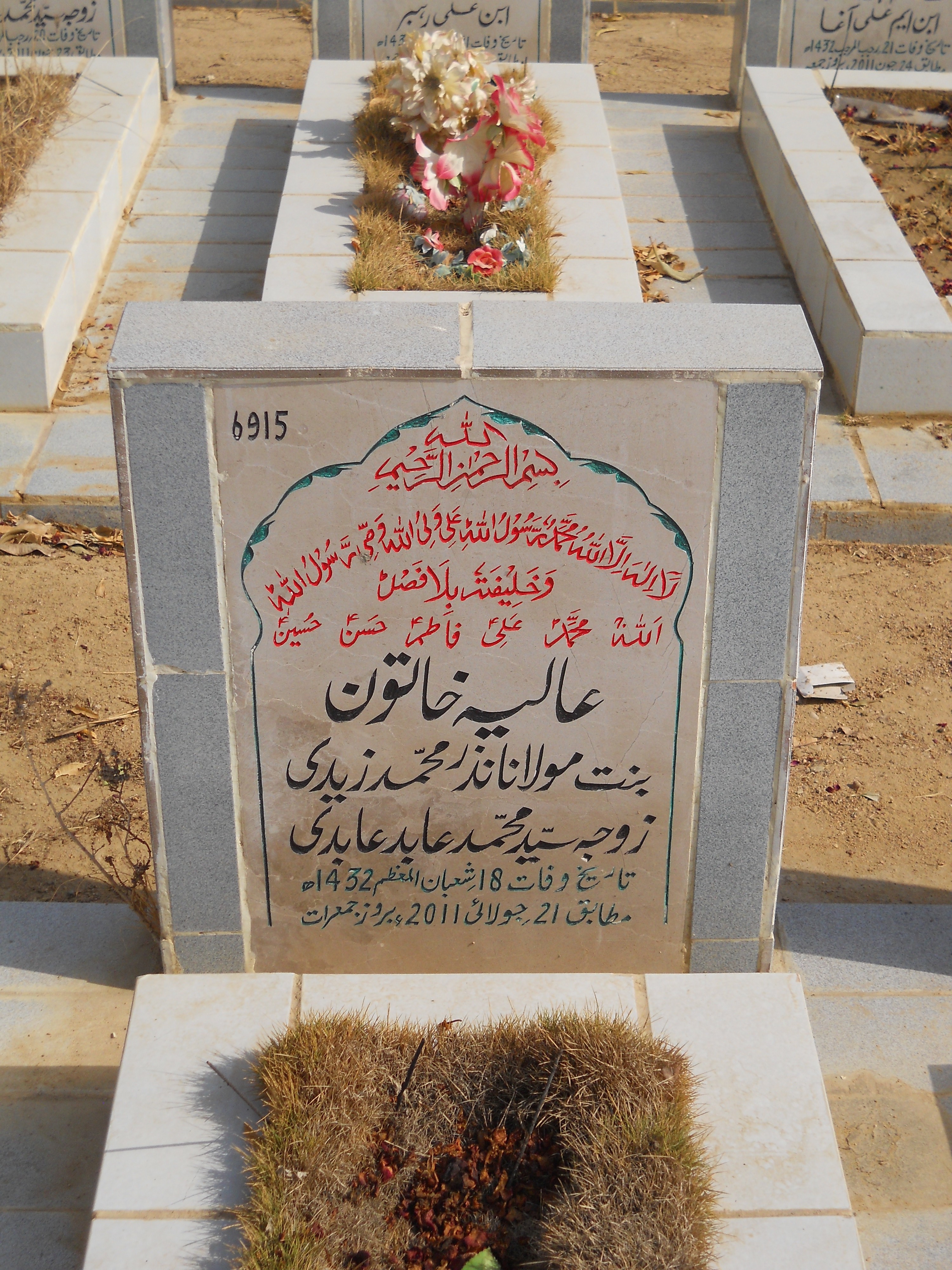 6915 – Aliya Khatoon