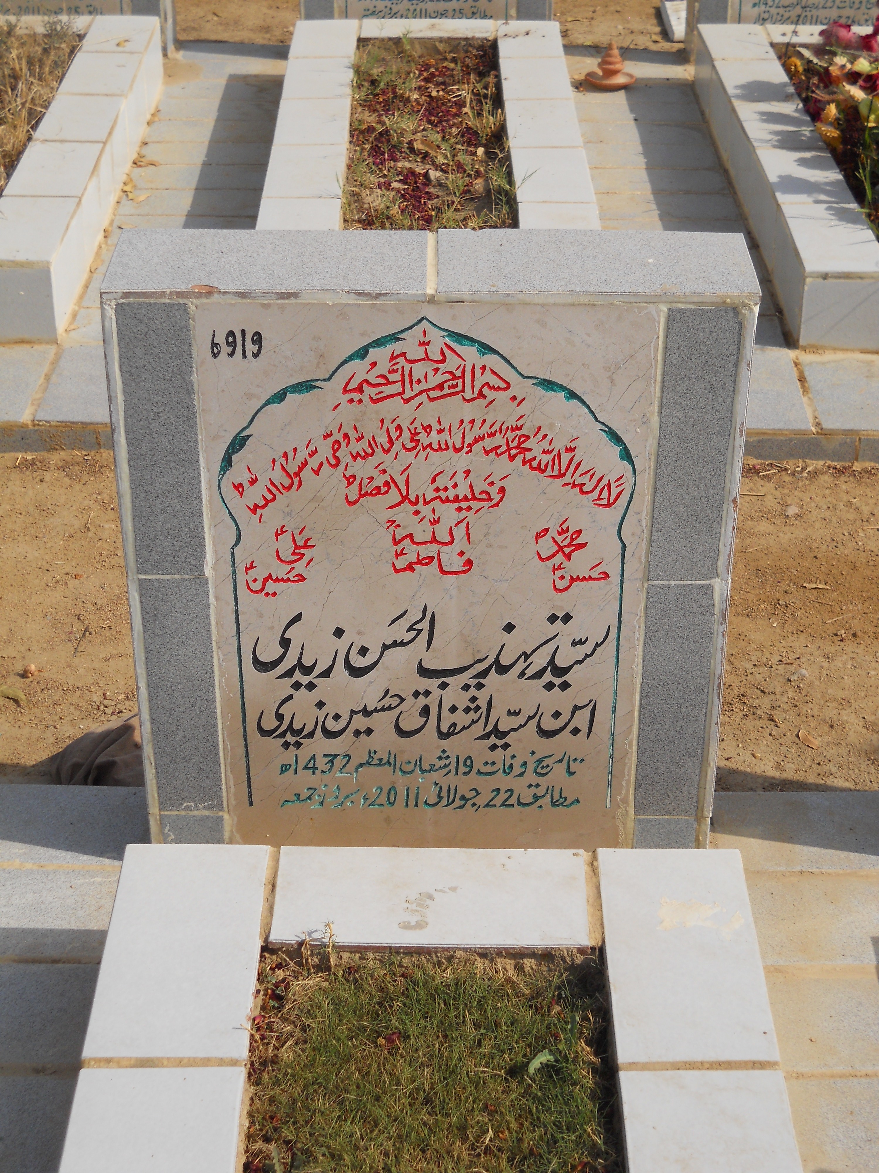 6919 – Syed Tehzeeb Ul Hasan Zaidi