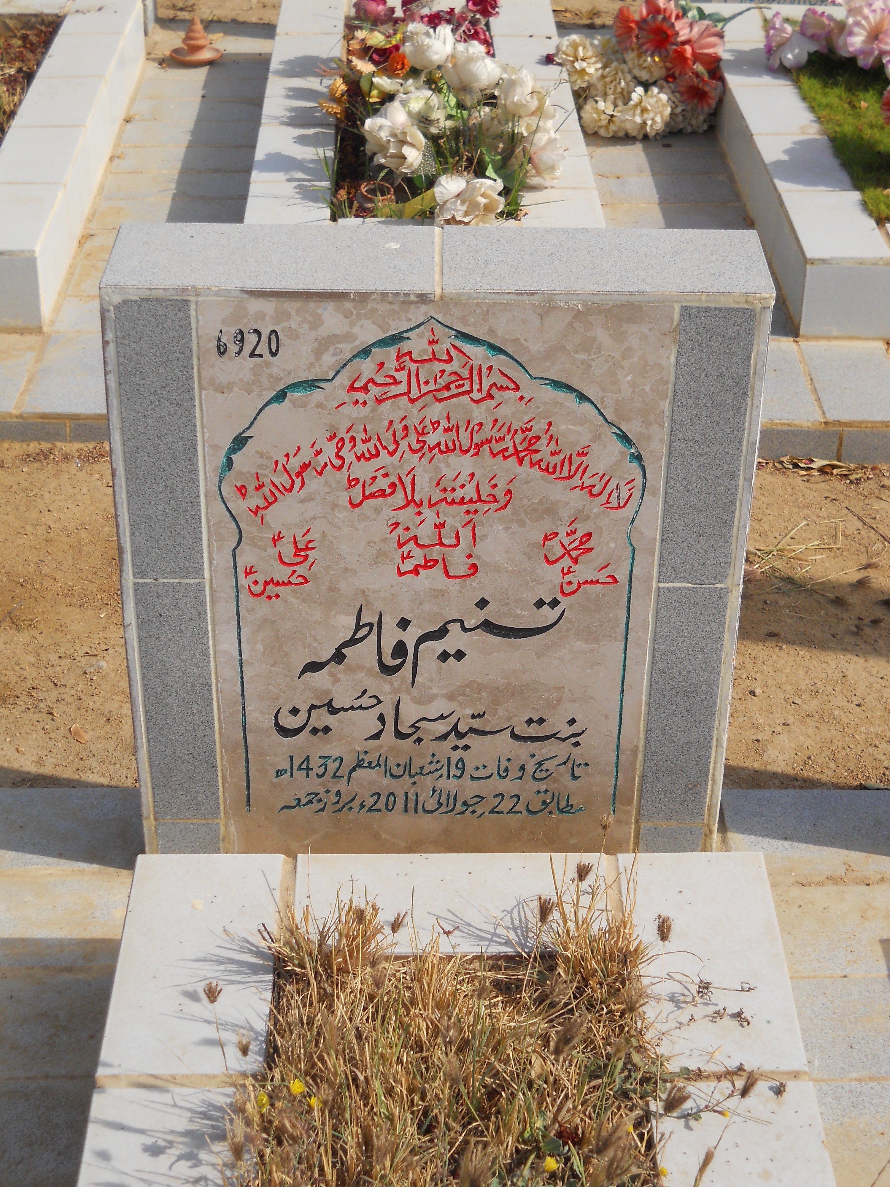 6920 – Tasneem Fatima