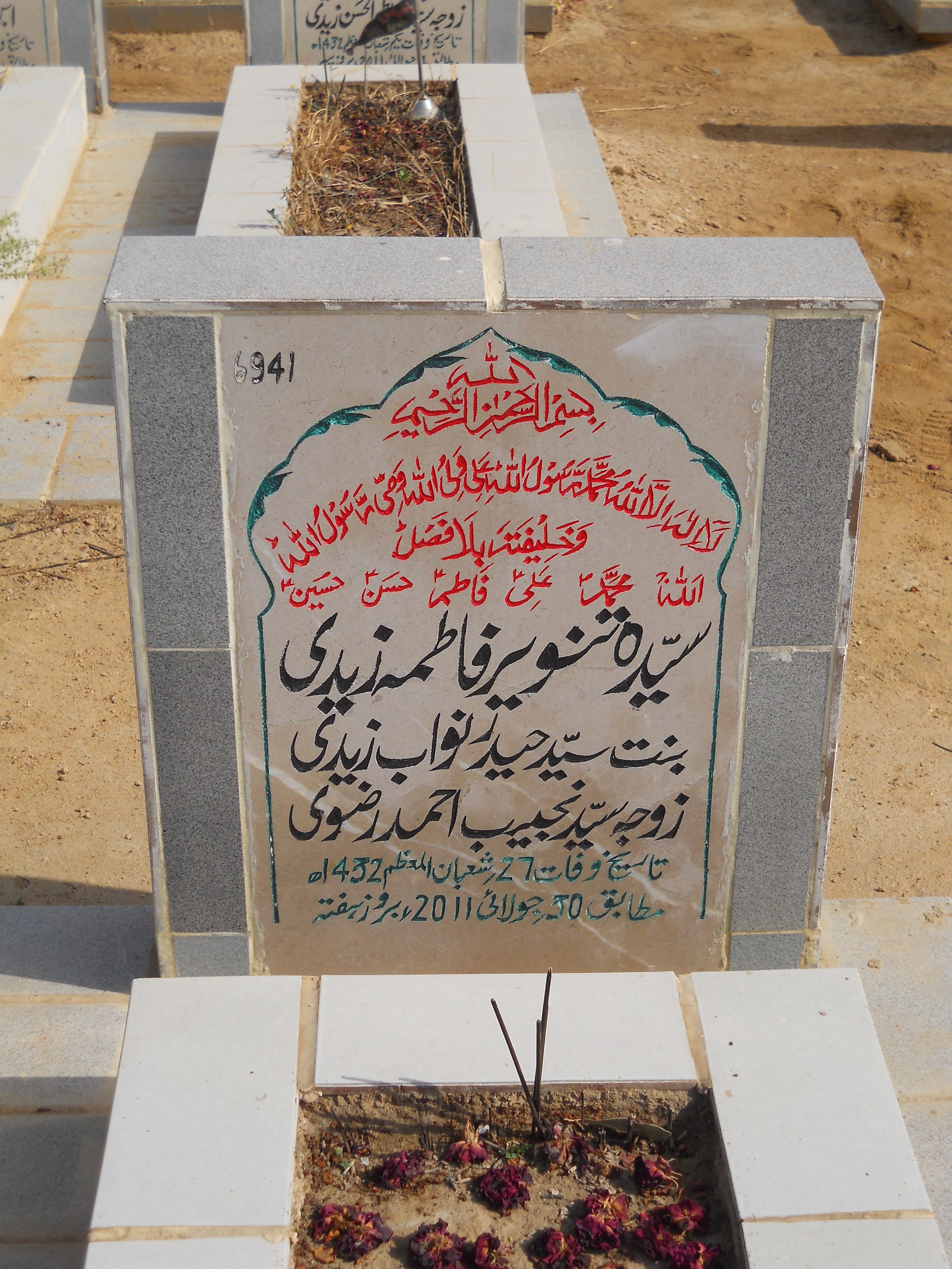 6941 – Syeda Tanveer Fatima Zaidi