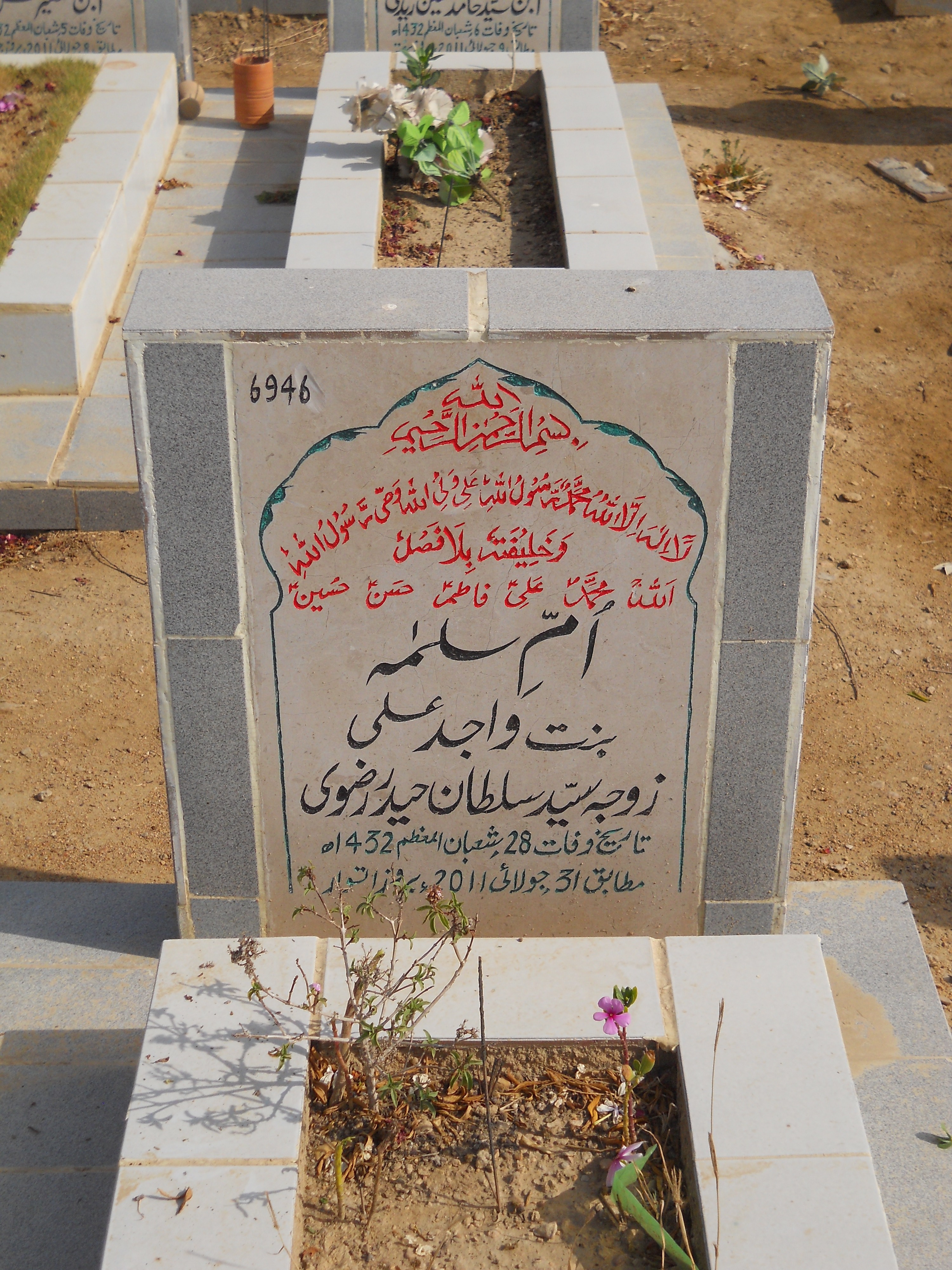 6946 – Ummay Salma