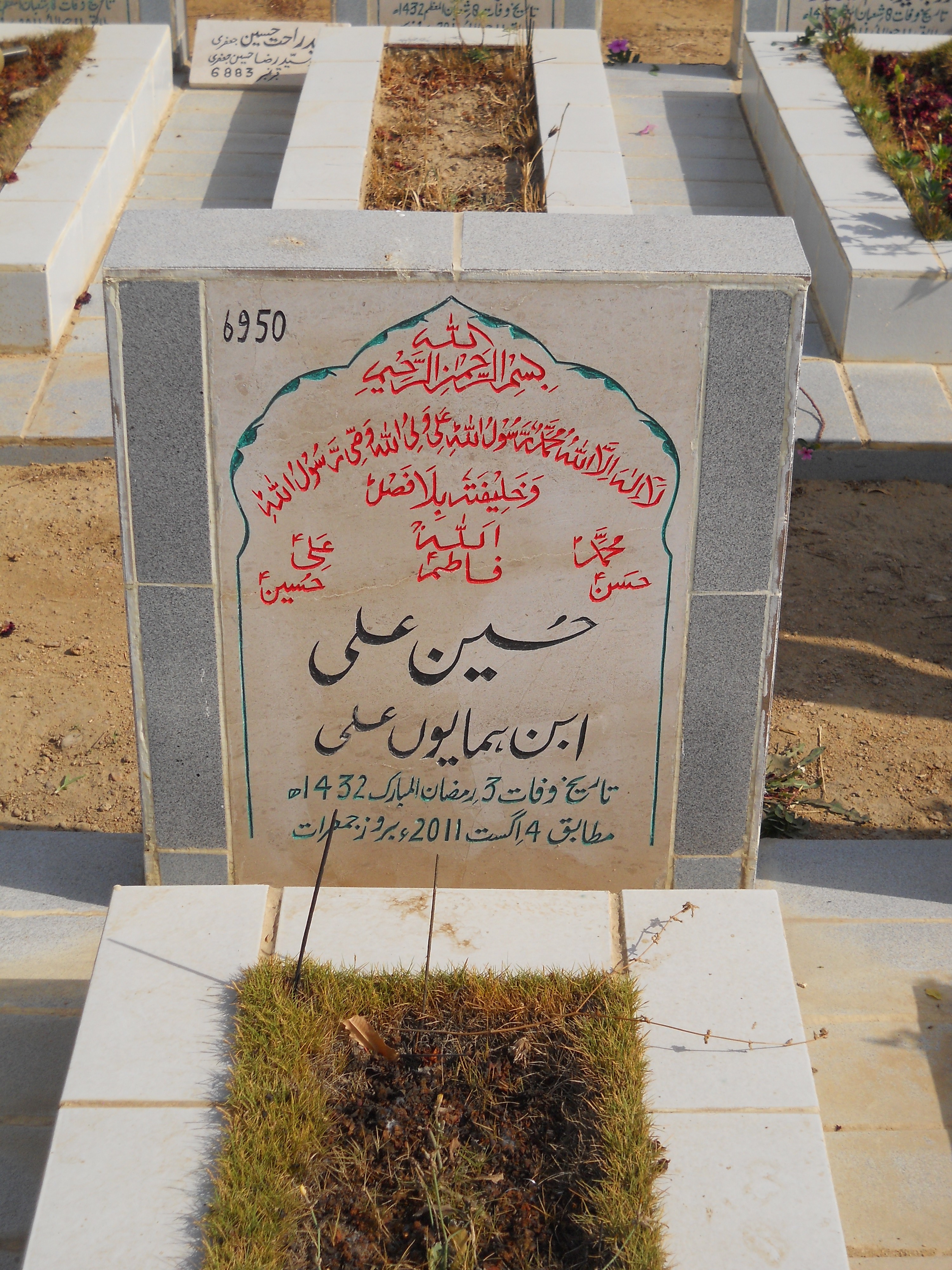 6950 – Hussain Ali