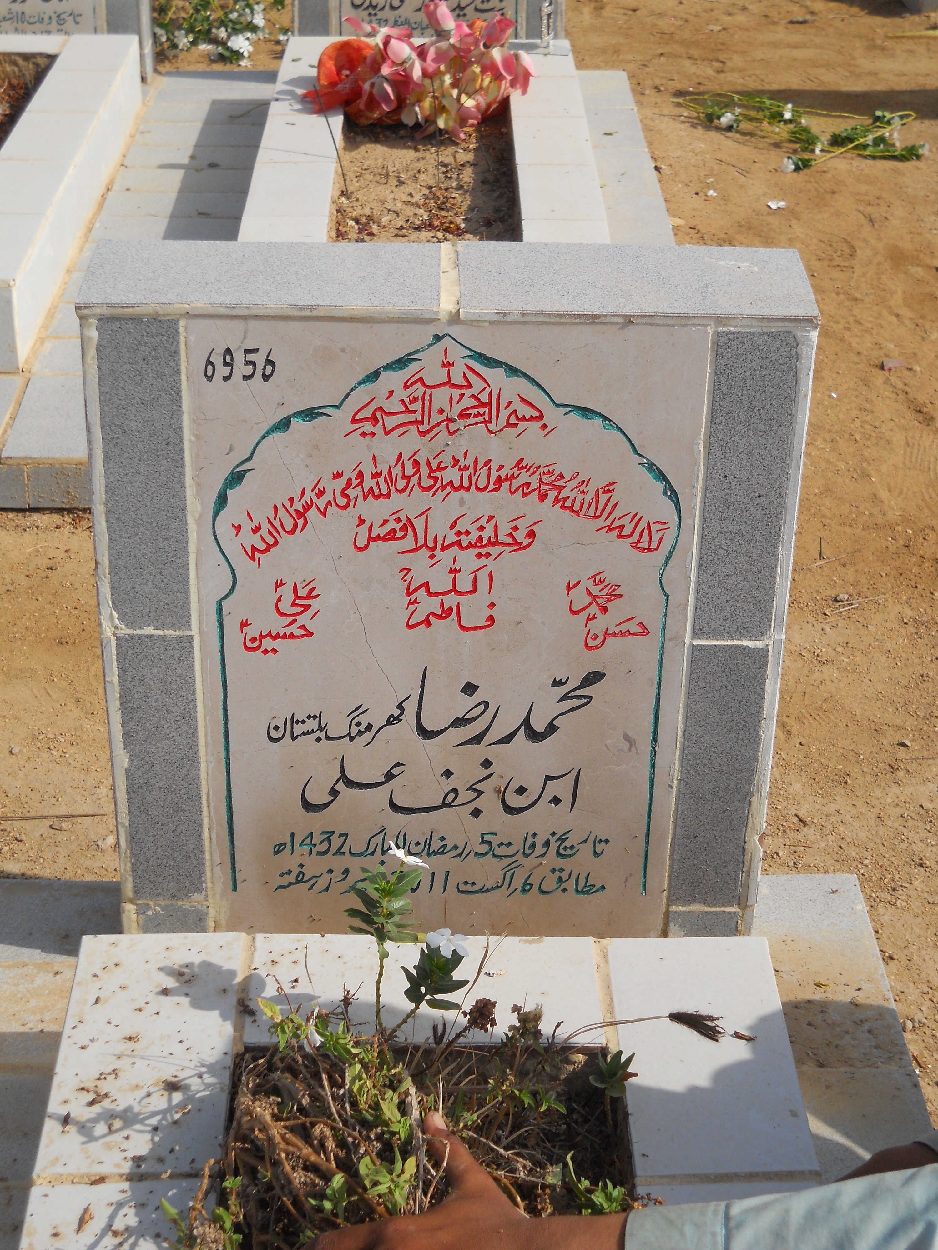 6956 – Muhammad Raza