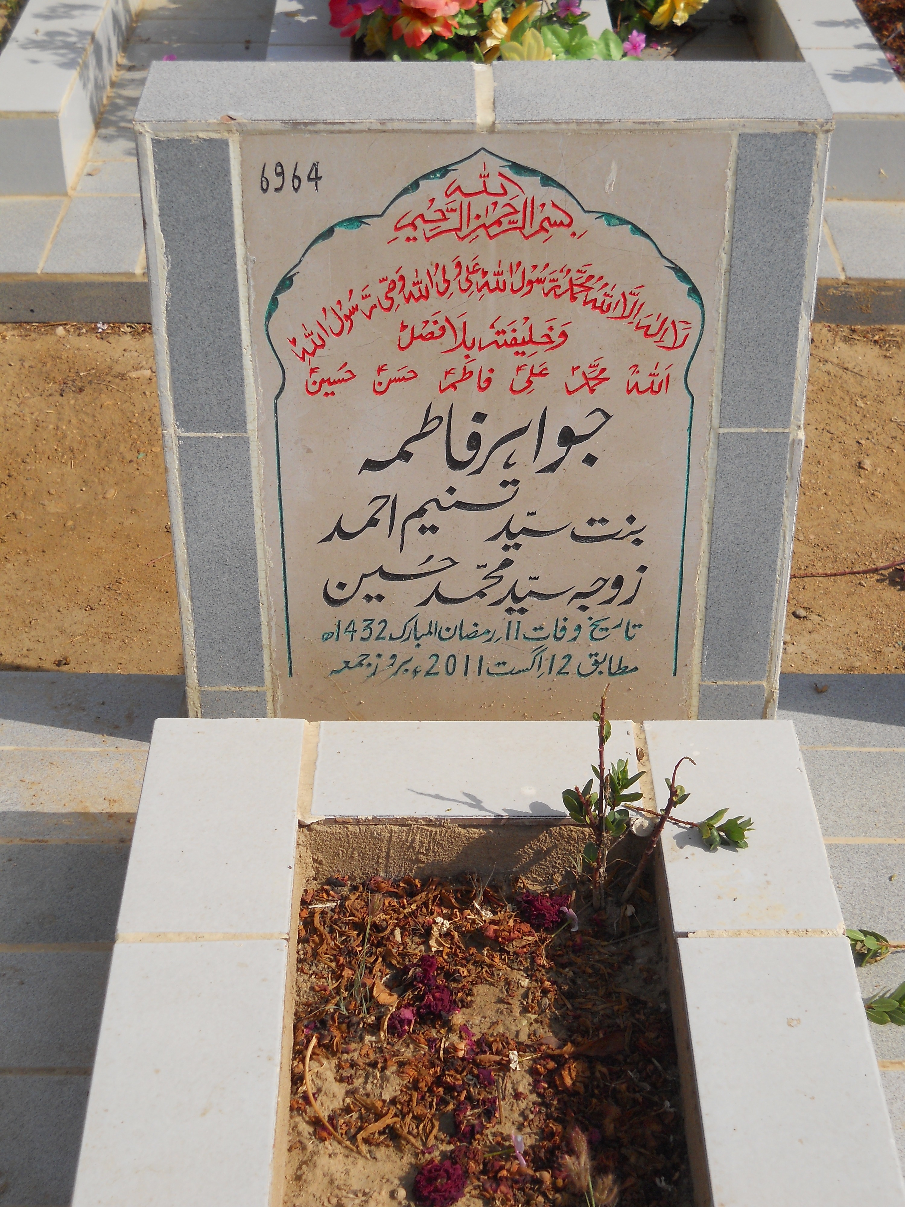 6964 – Jawahar Fatima