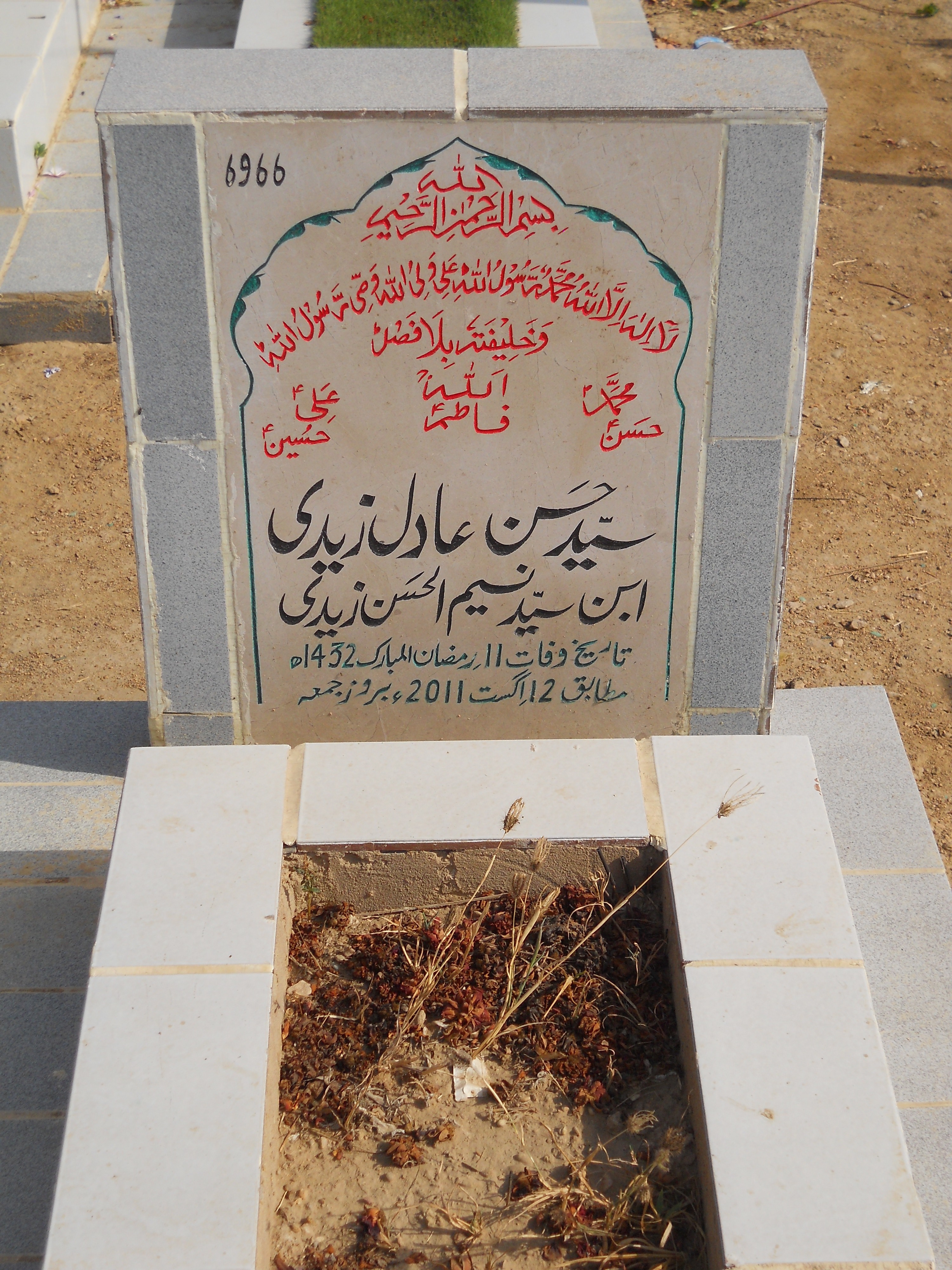 6966 – Syed Hasan Adil Zaidi