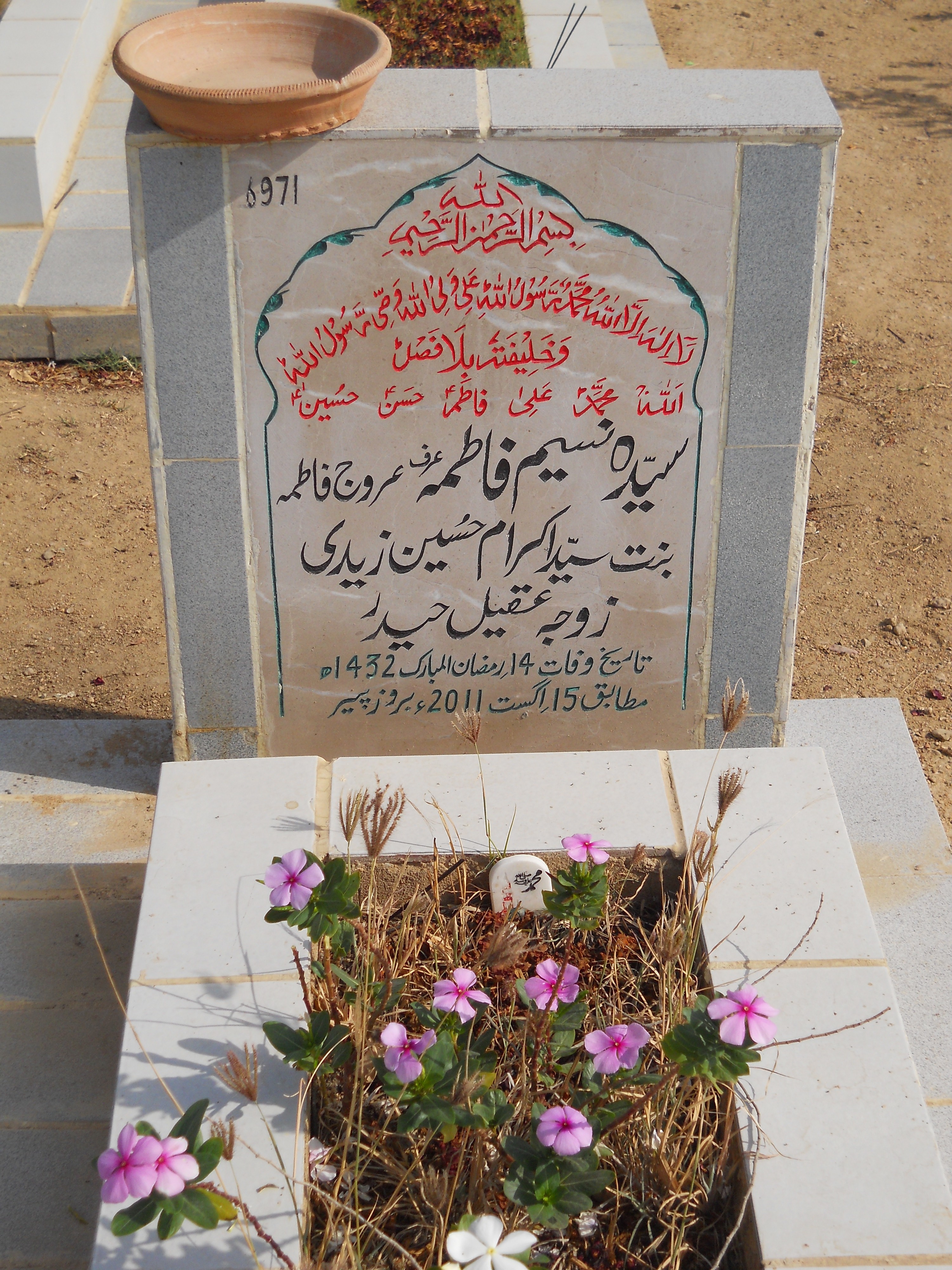 6971 – Syeda Naseem Fatima