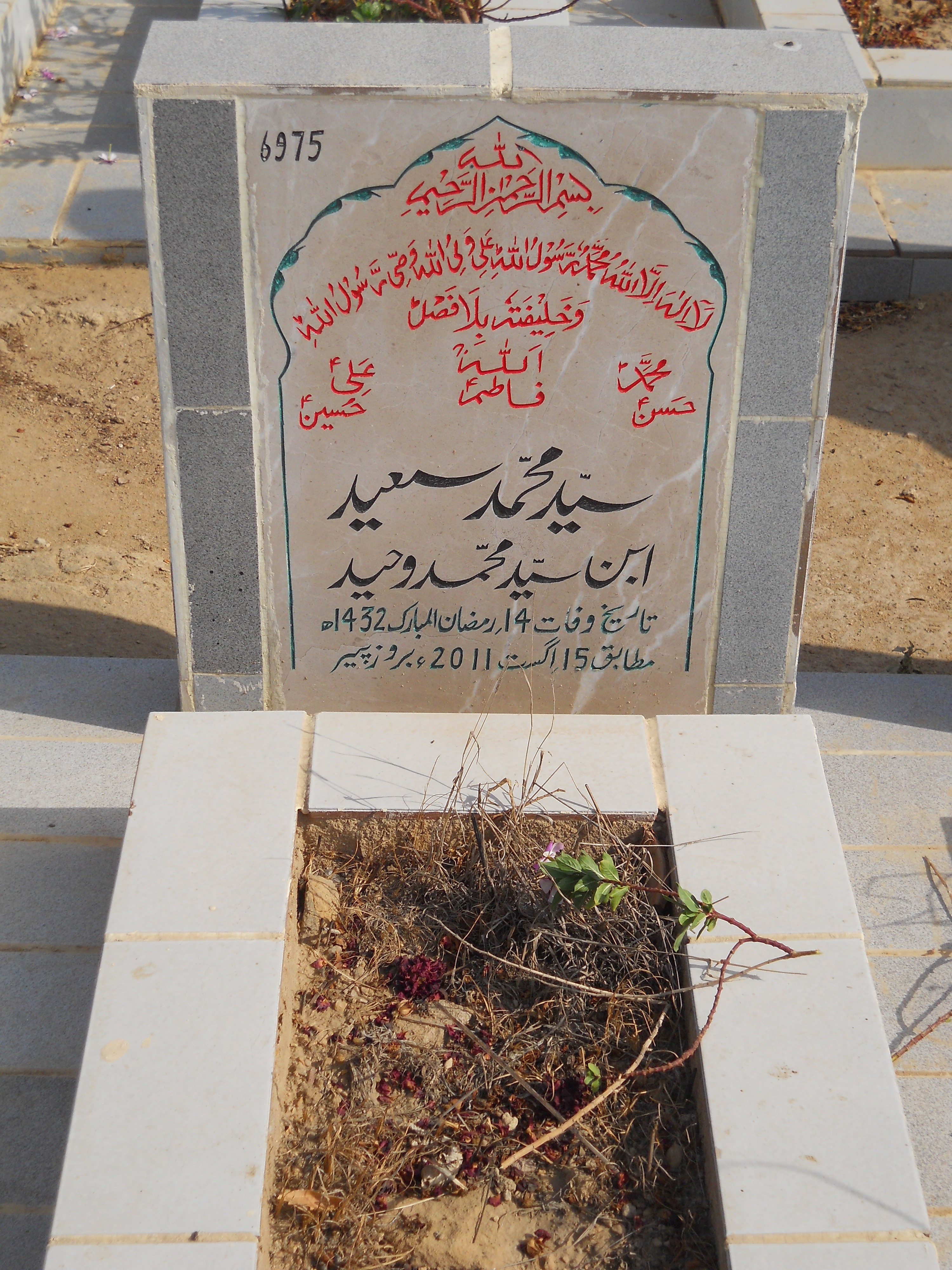 6975 – Syed Muhammad Saeed