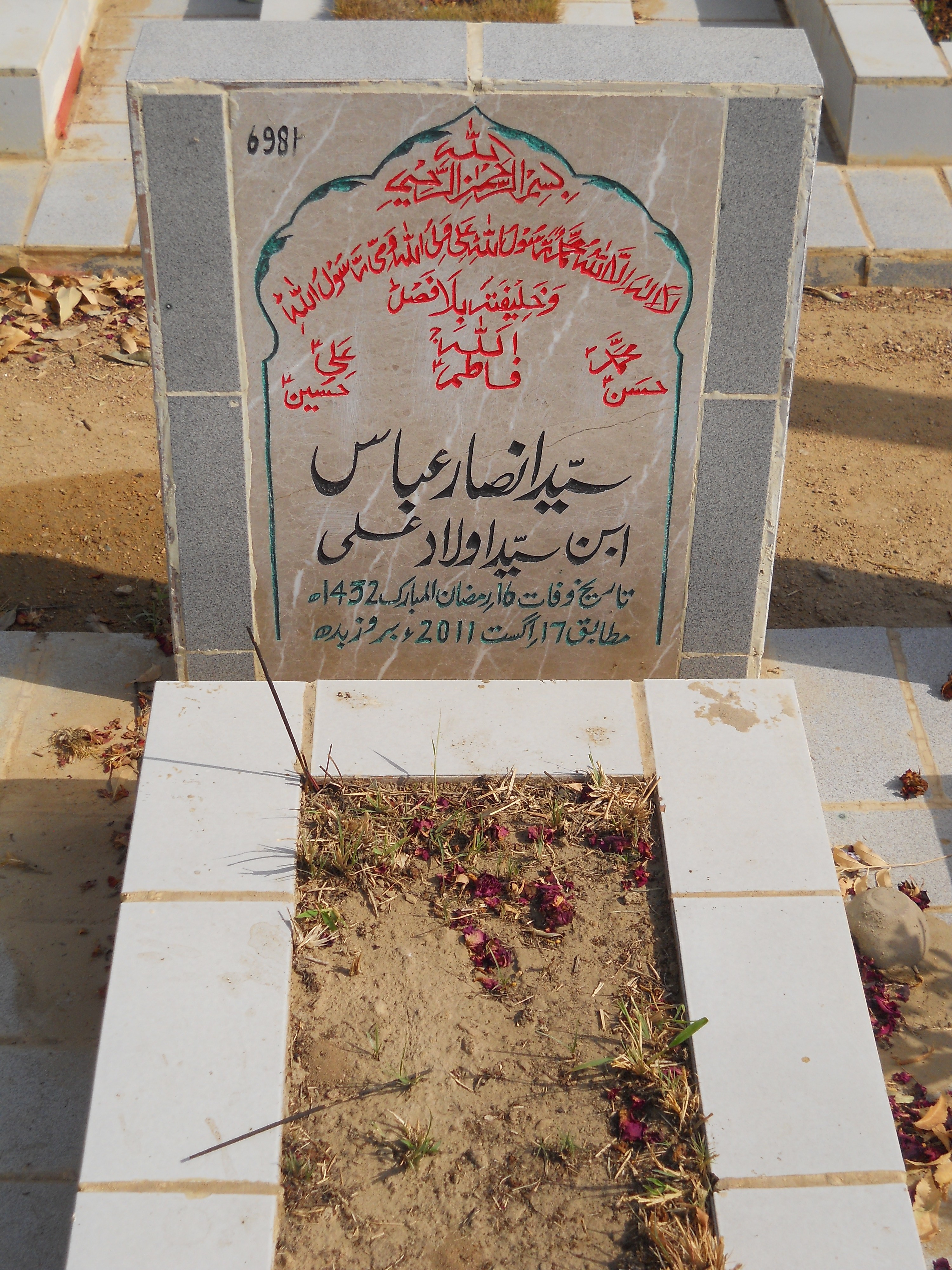 6981 – Syed Ansar Abbas