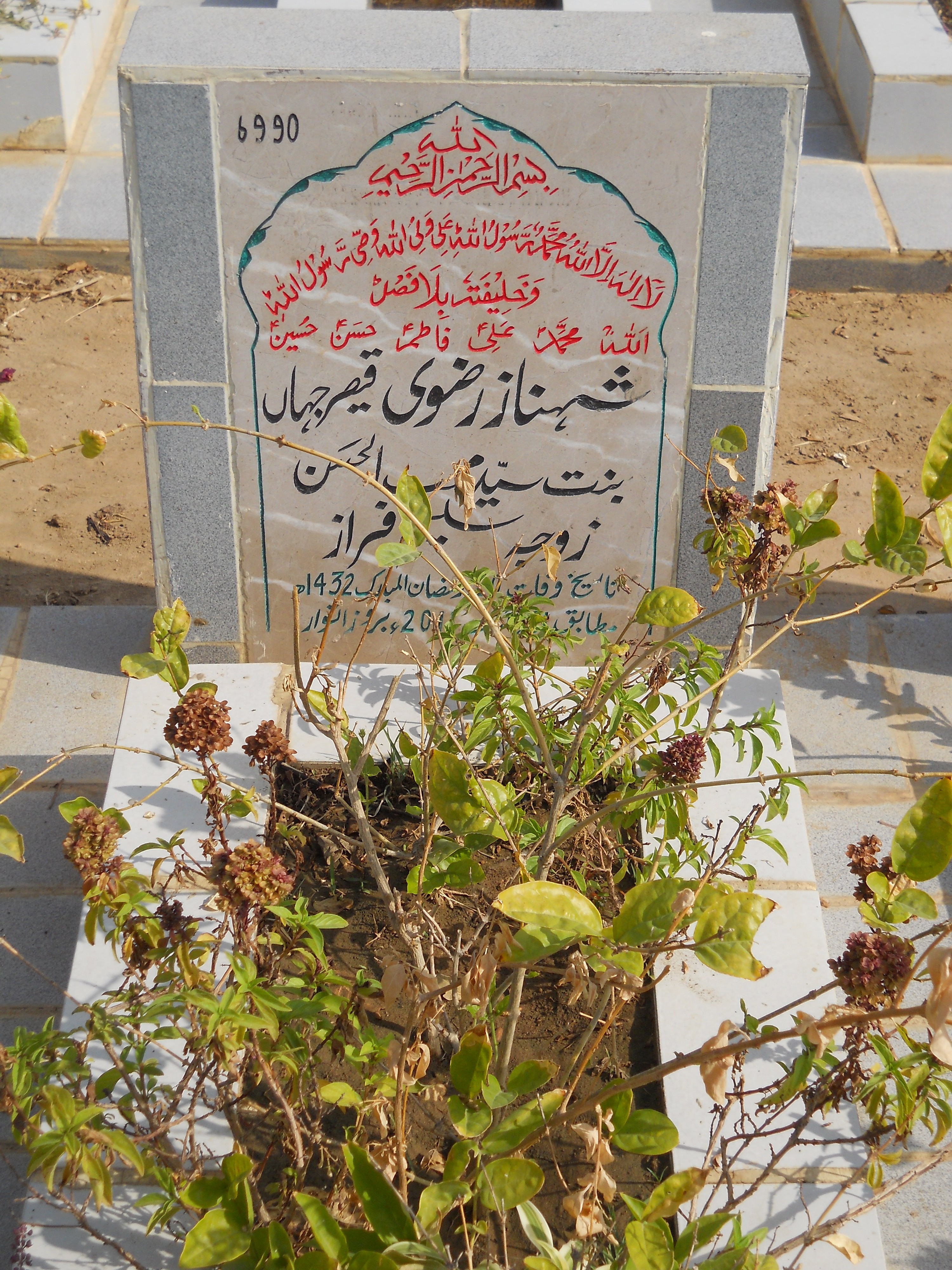 6990 – Shahnaz Rizvi