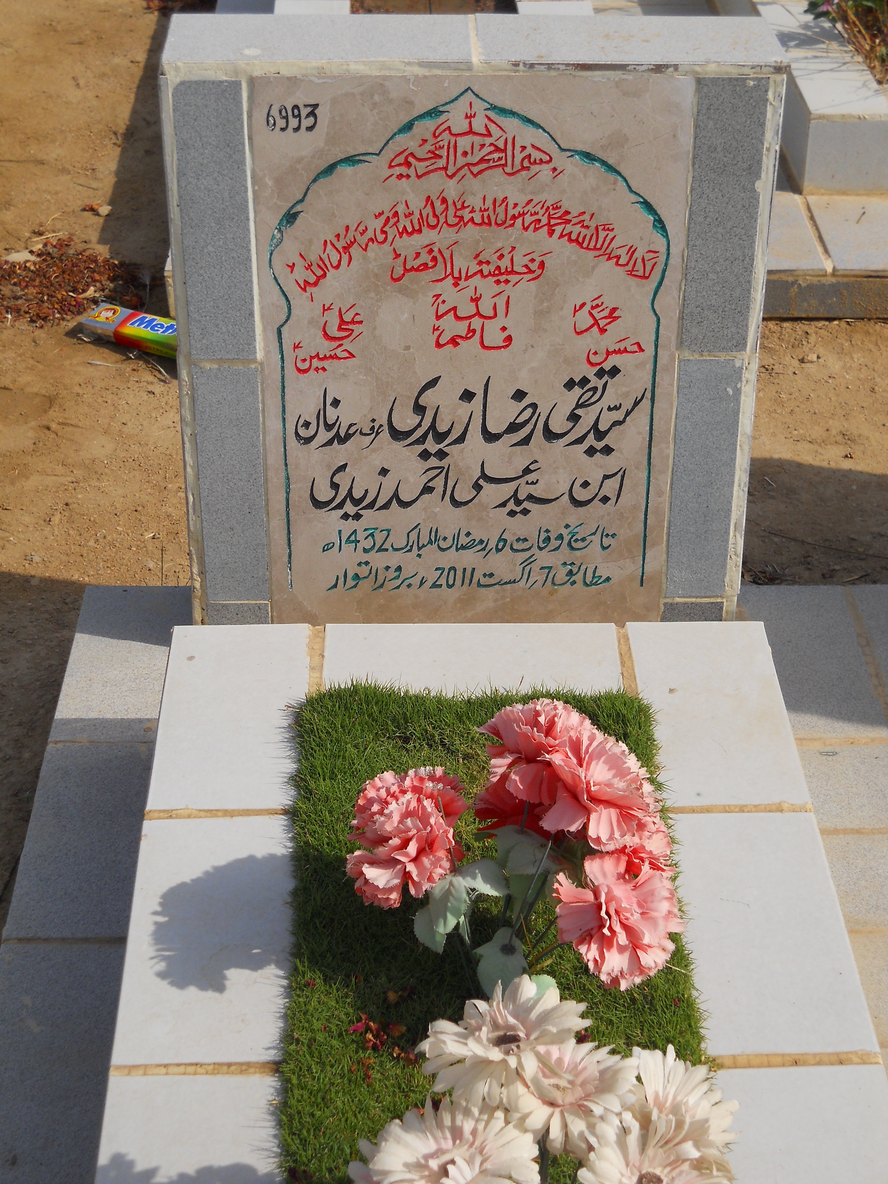 6993 – Syed Taqi Raza Zaidi