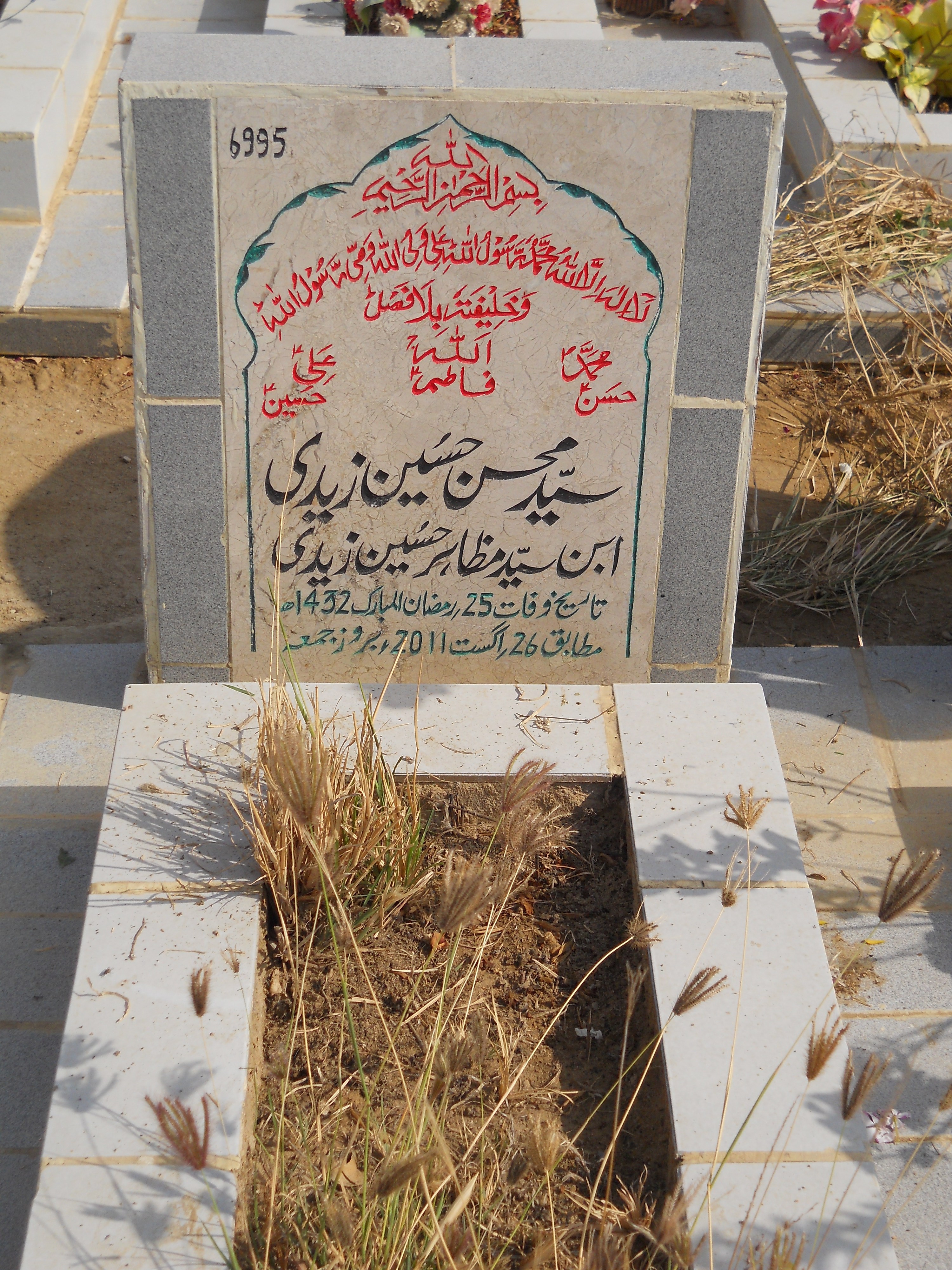 6995 – Syed Mohsin Hussain Zaidi