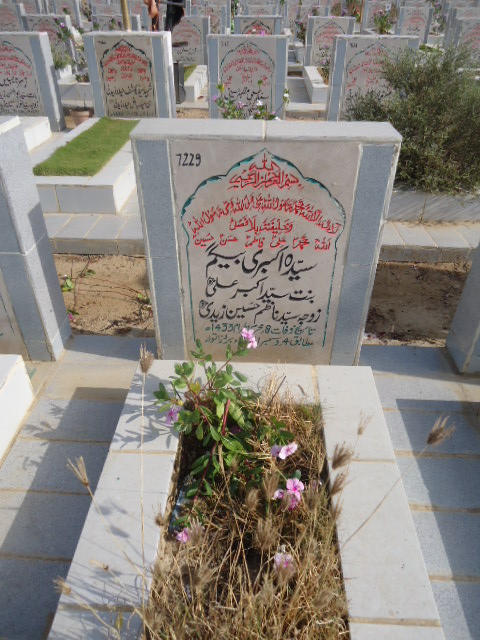 7229 – Syed Akbari Begum