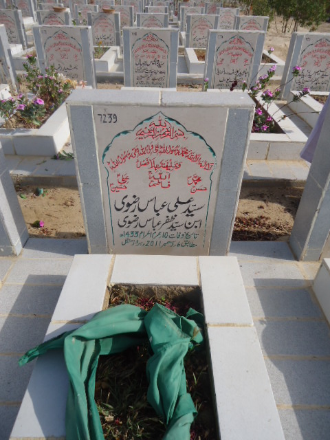 7239 – Syed Ali Abbas Rizvi