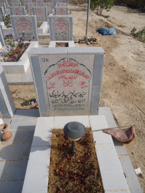 7241 – Syed Sajjad Haider Abidi