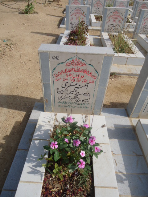 7242 – Amna Askari