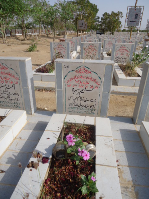 7243 – Tasneem Zehra