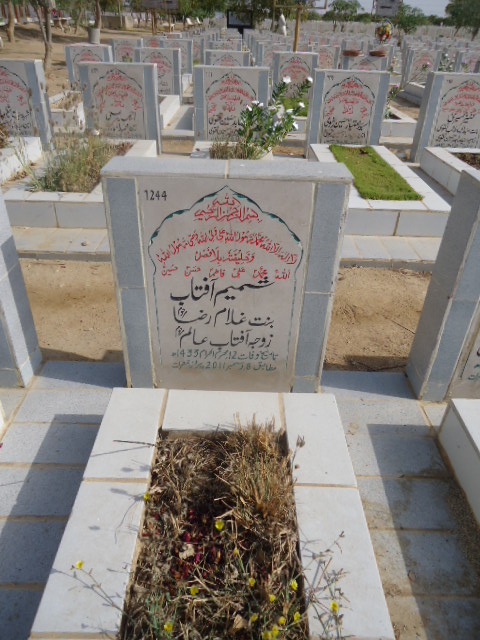 7244 – Shamim Aftab