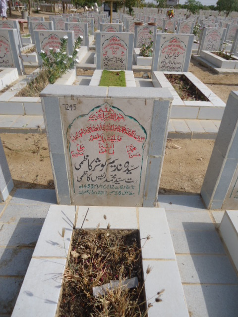 7245 – Syeda Nadeem Kausar Kazmi