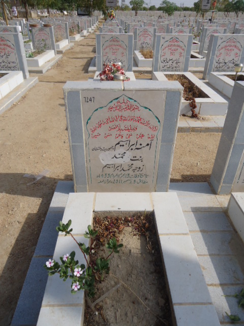 7247 – Amna Ibrahim