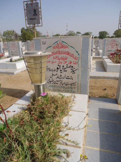7262 – Syeda Sagheer Bano