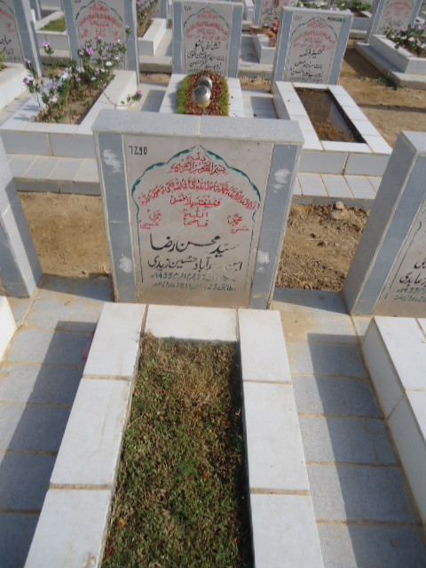 7290 – Syed Mohsin Raza