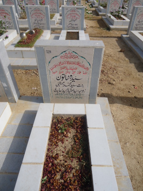 7291 – Syeda Khatoon
