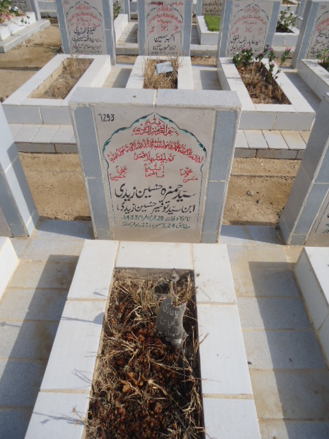 7293 – Syed Hamza Hussain Zaidi