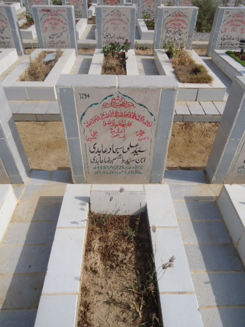7294 – Syed Ali Sajjad Abidi